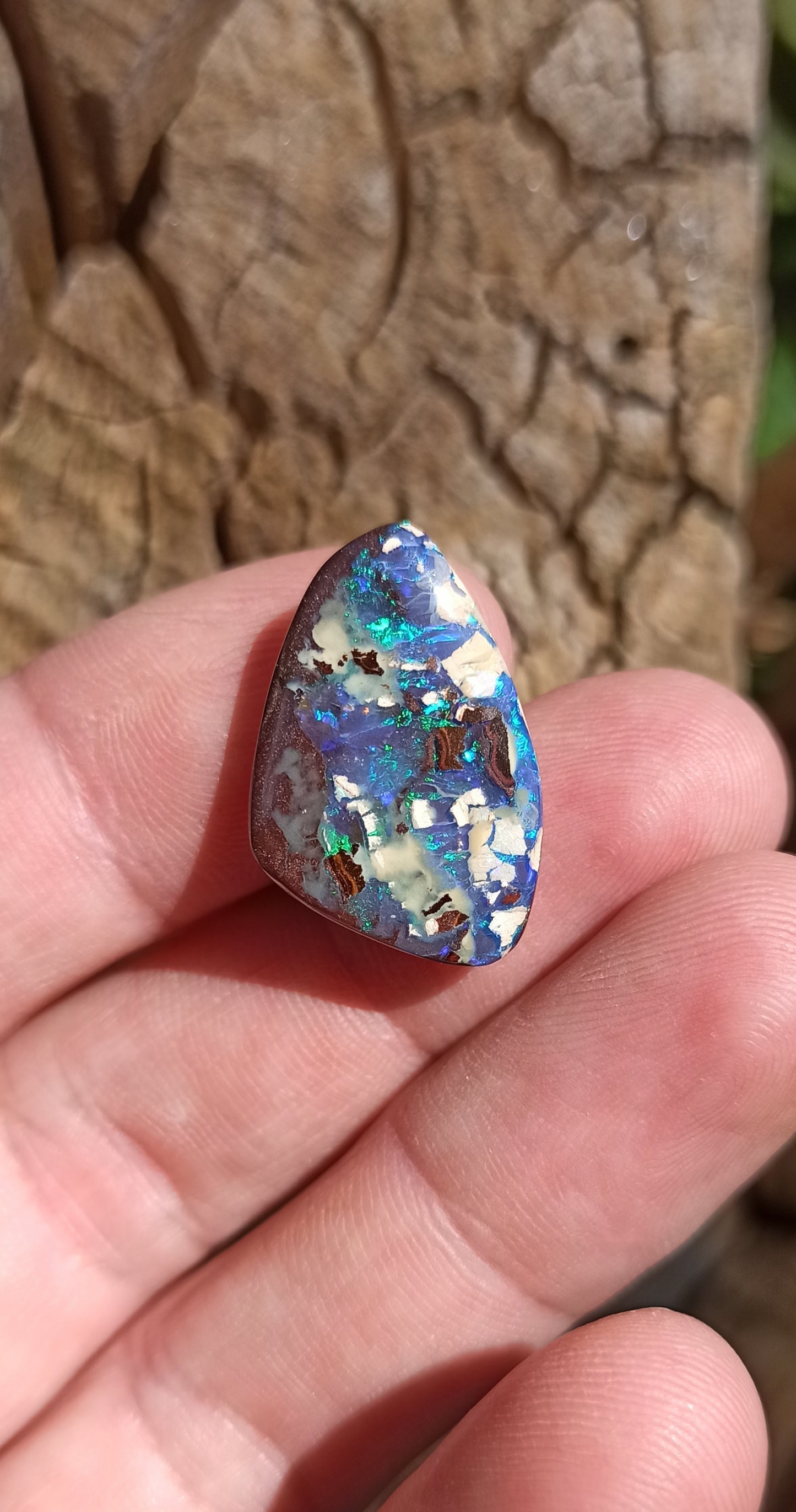 Opale Boulder Yowah ~ Australie