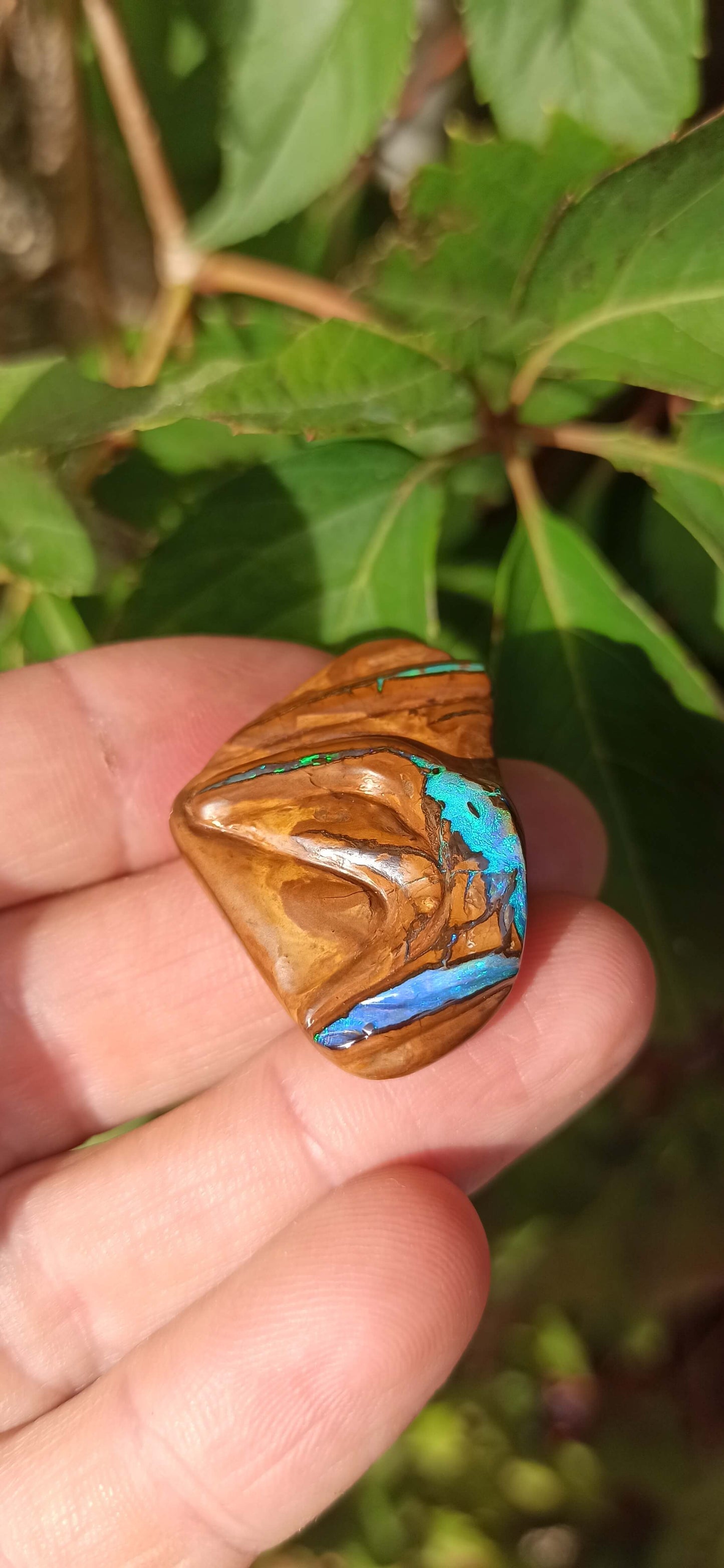 " Gardien " Unique Opale Boulder/ Yowah 🇦🇺