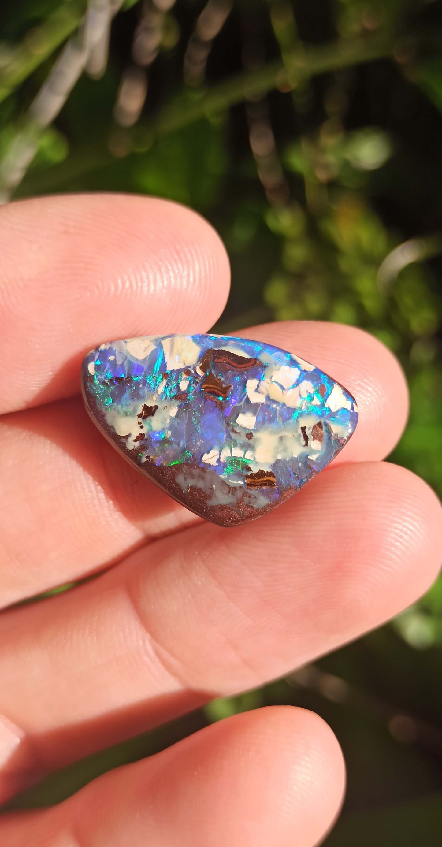Opale Boulder Yowah ~ Australie