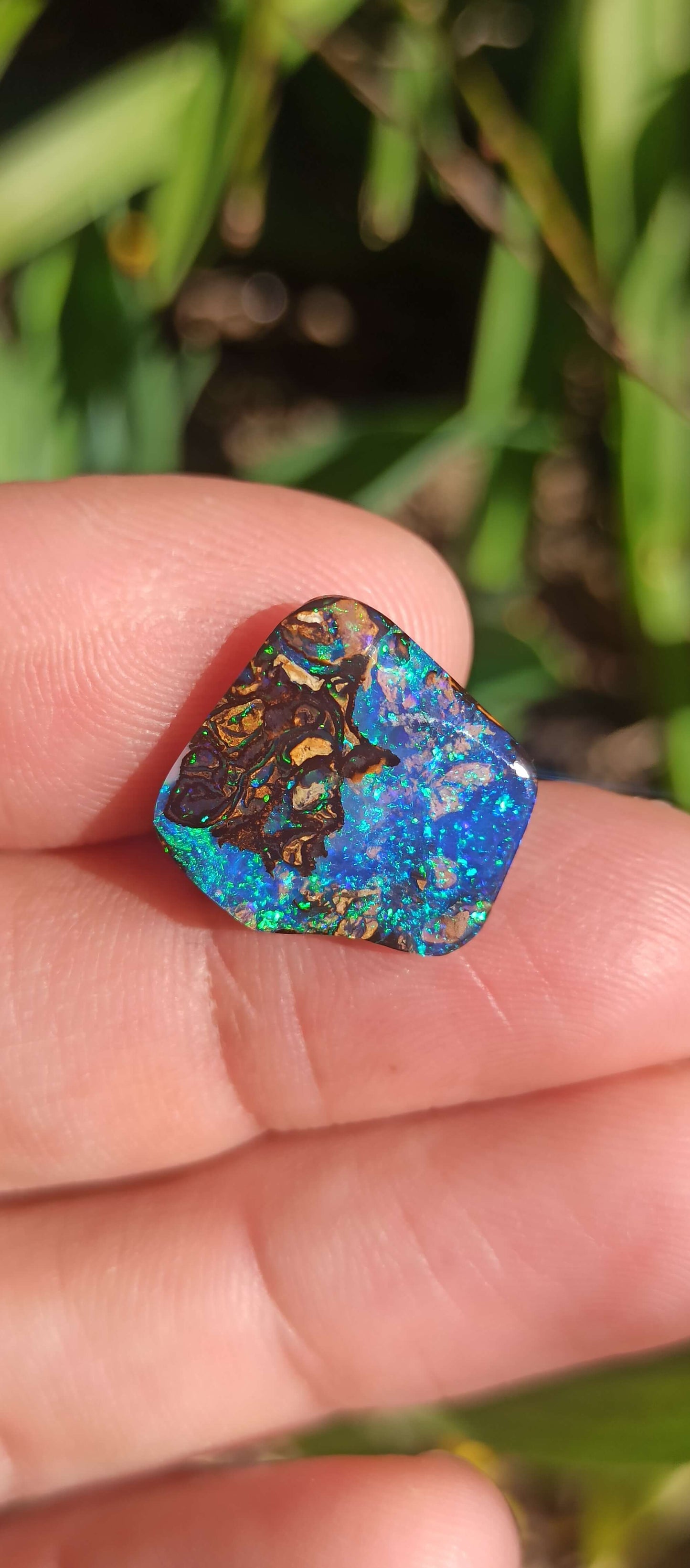 Investment Koroit Gem Opal