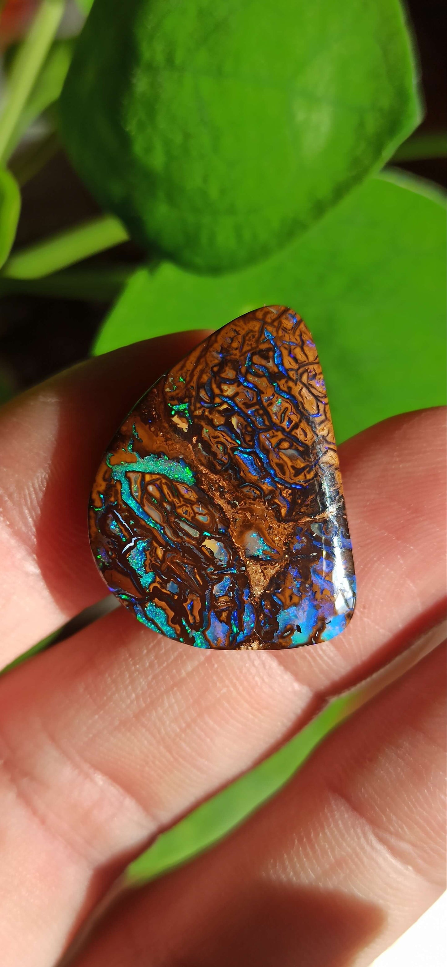 Opale Boulder Originale Koroit 🇦🇺