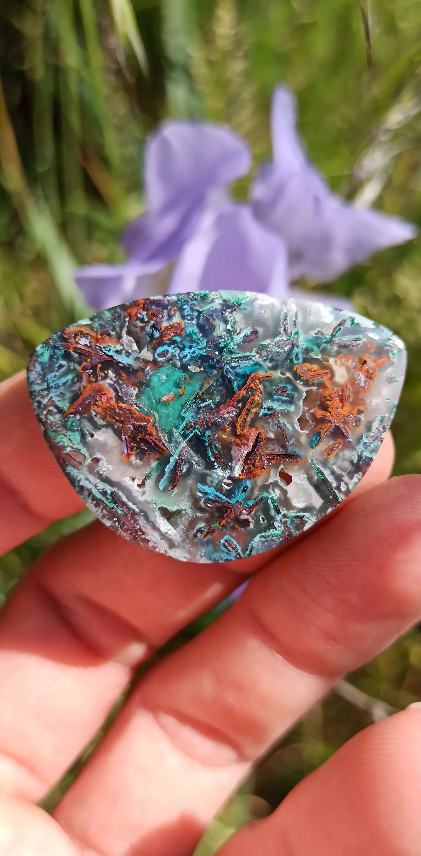 Cabochon Chrysocolle Cuivre Natif