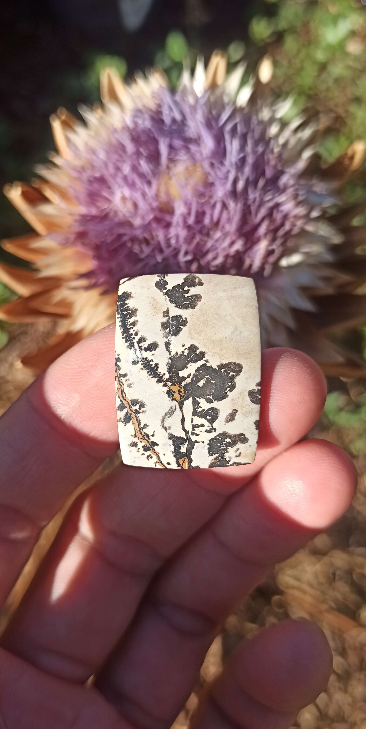 Cabochon Jaspe Dendritique ~ Indonésie 🌴