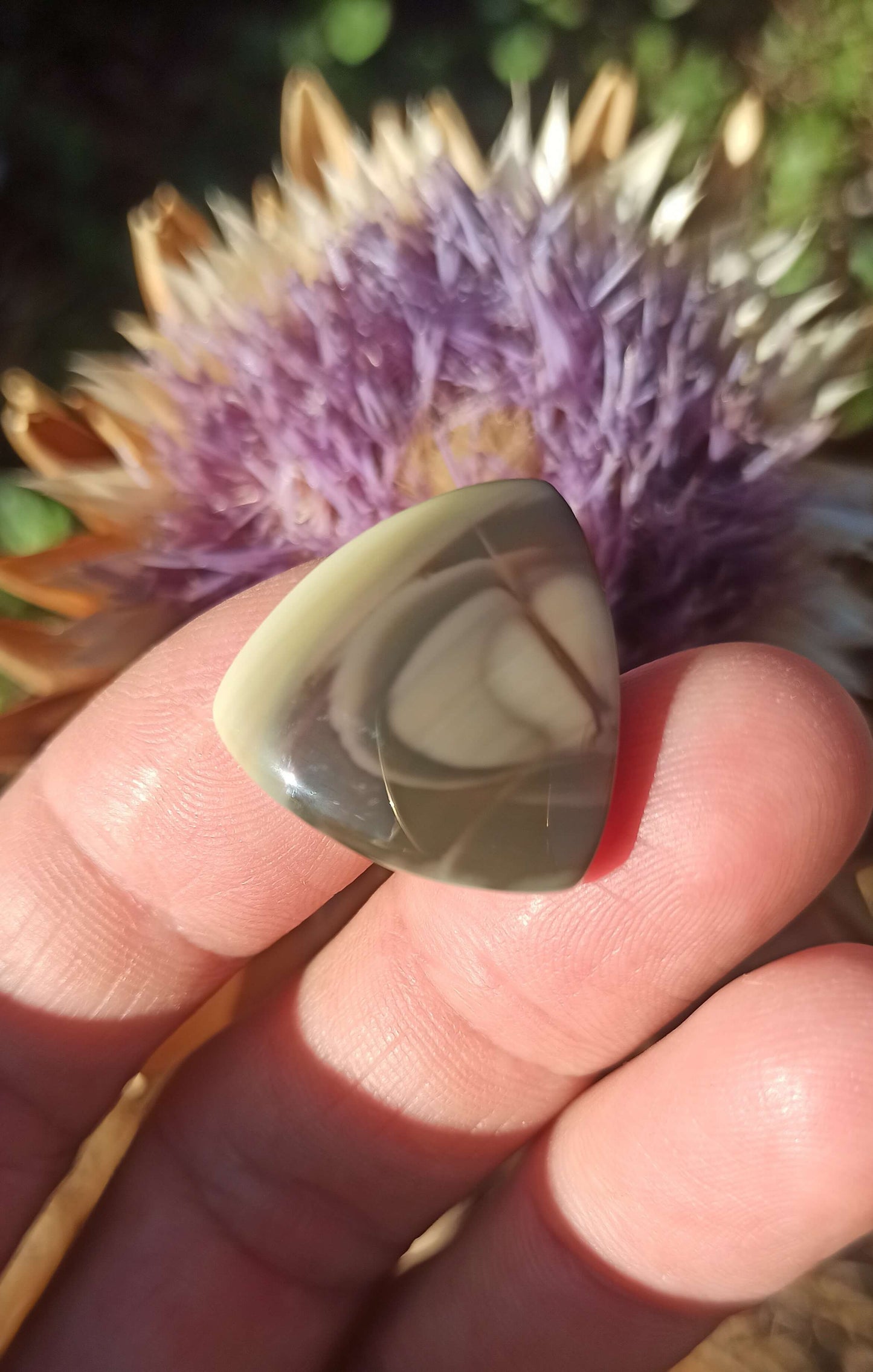 Cabochon Jaspe Royal Impérial ~ Mexique