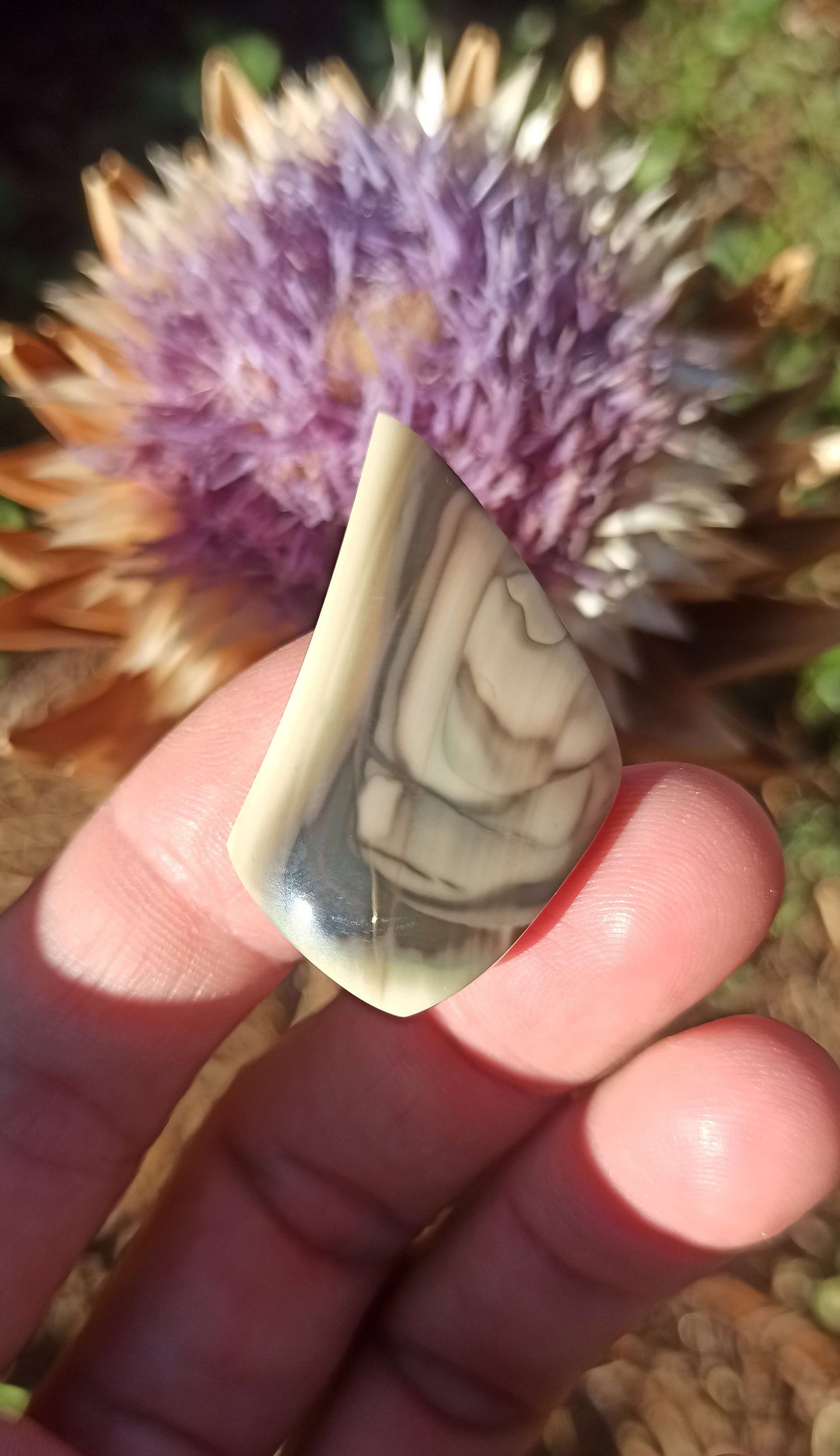 Cabochon Jaspe Royal Impérial ~ Mexique