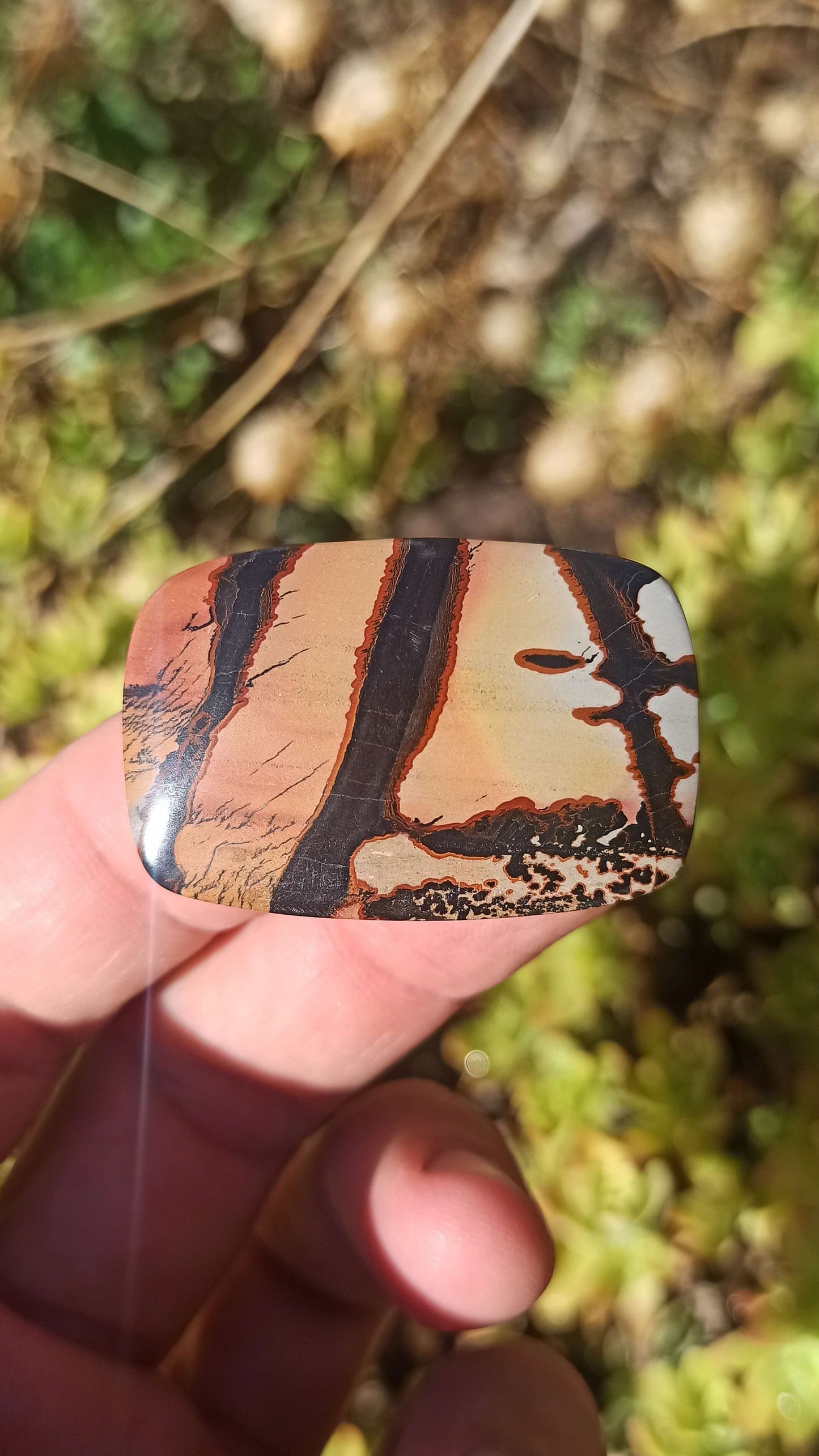 Cabochon Indian Painting stone ~ USA