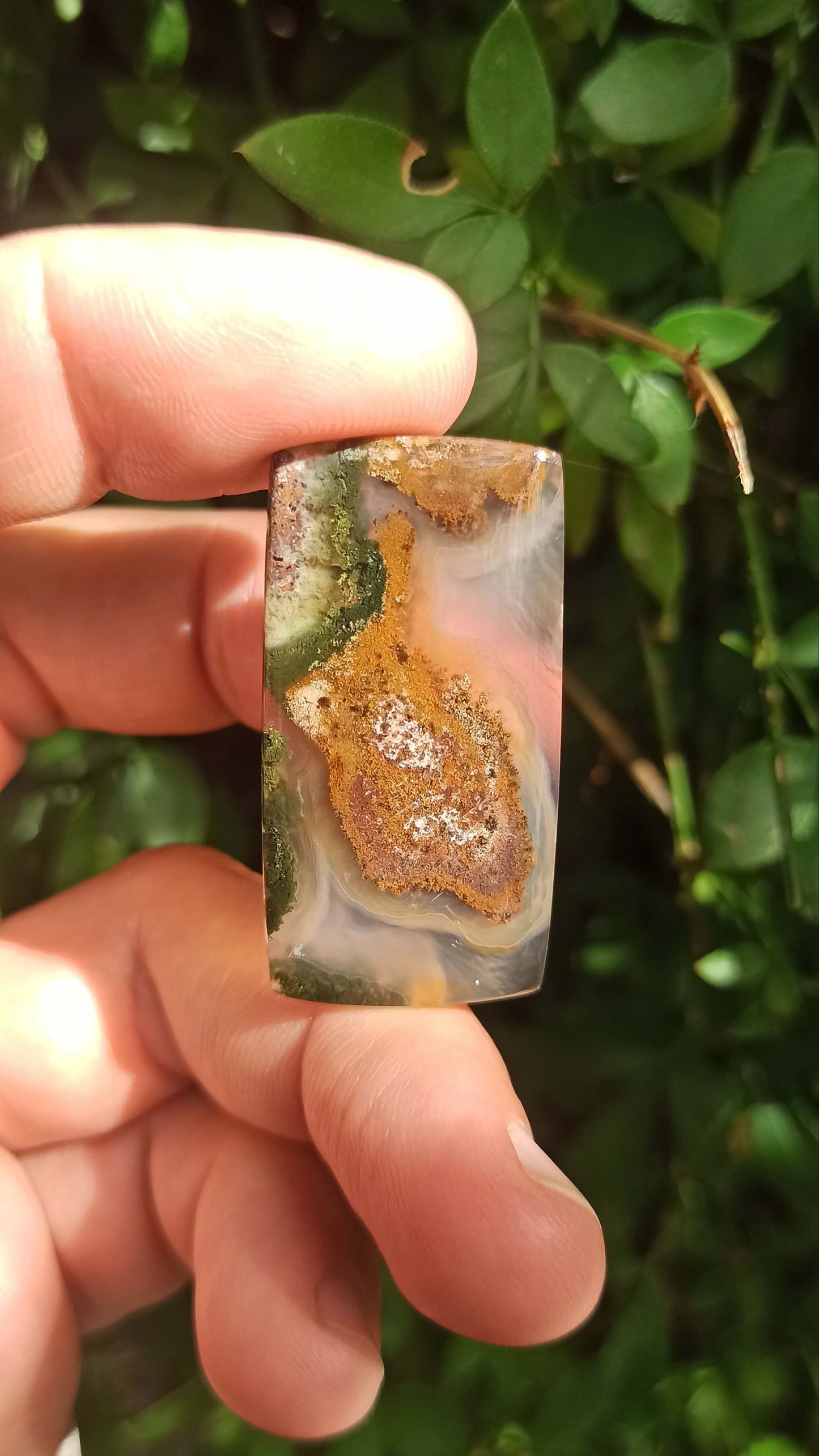 Cabochon Agate Mousse ~ Indonésie 🌴