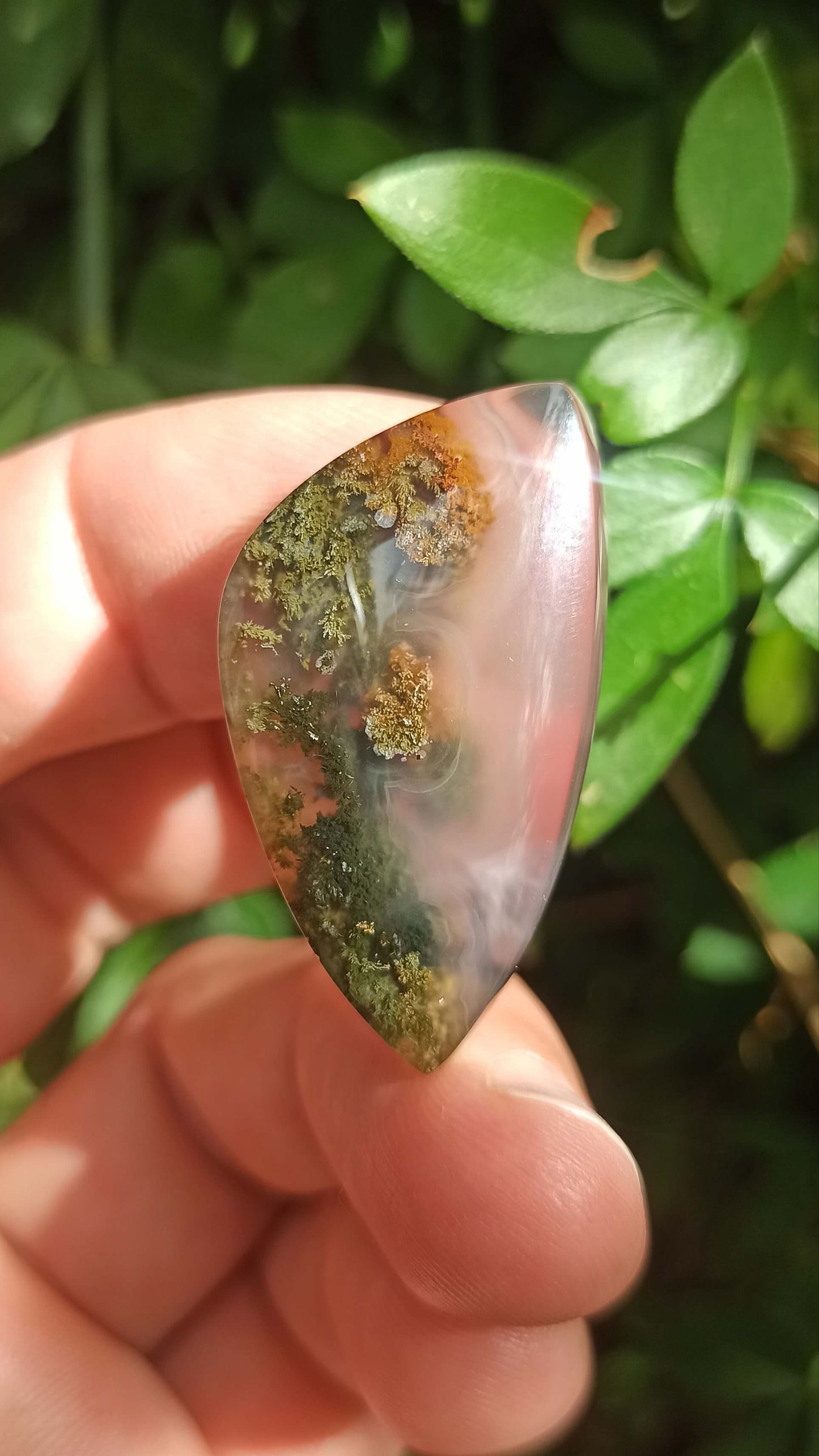 Cabochon Agate Mousse ~ Indonésie 🌴