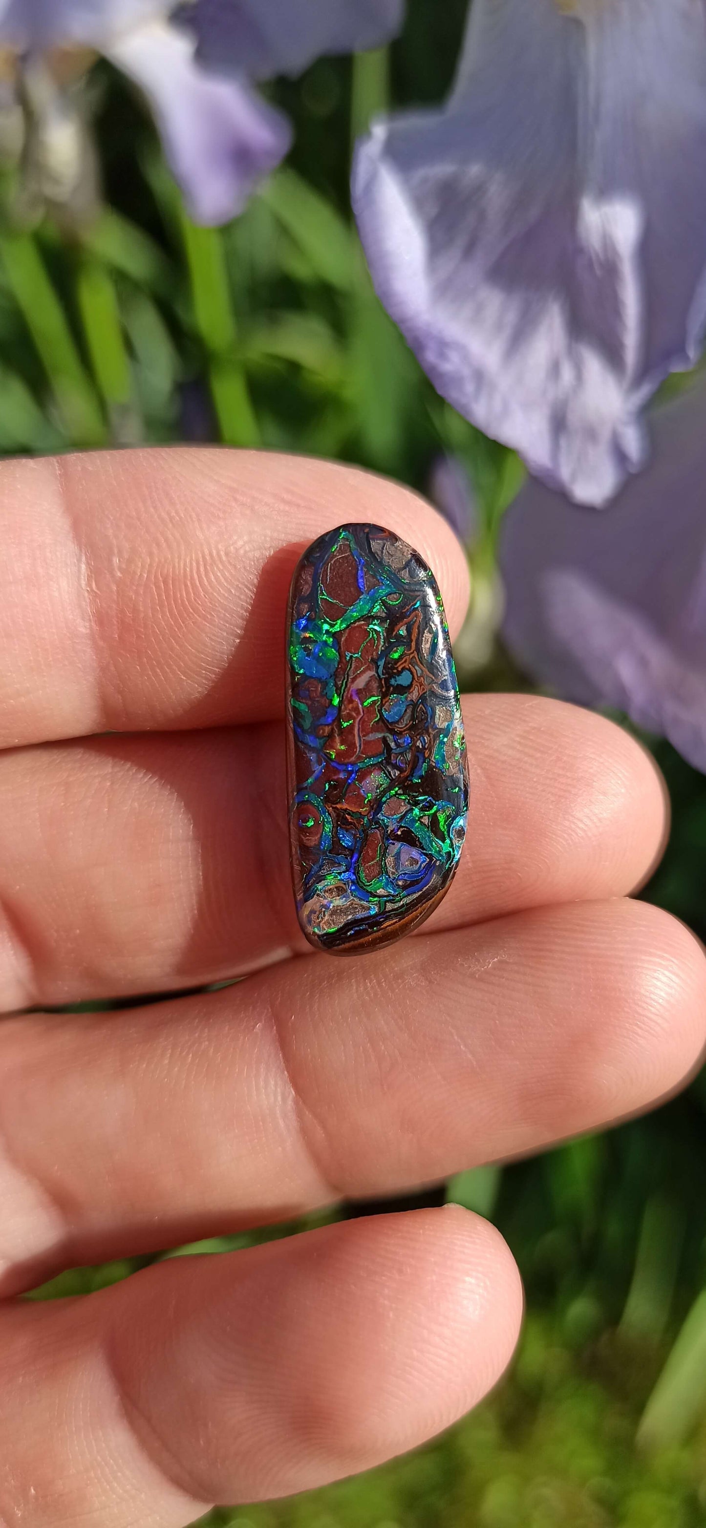 investment grade Opal Boulder • Koroit 🇦🇺
