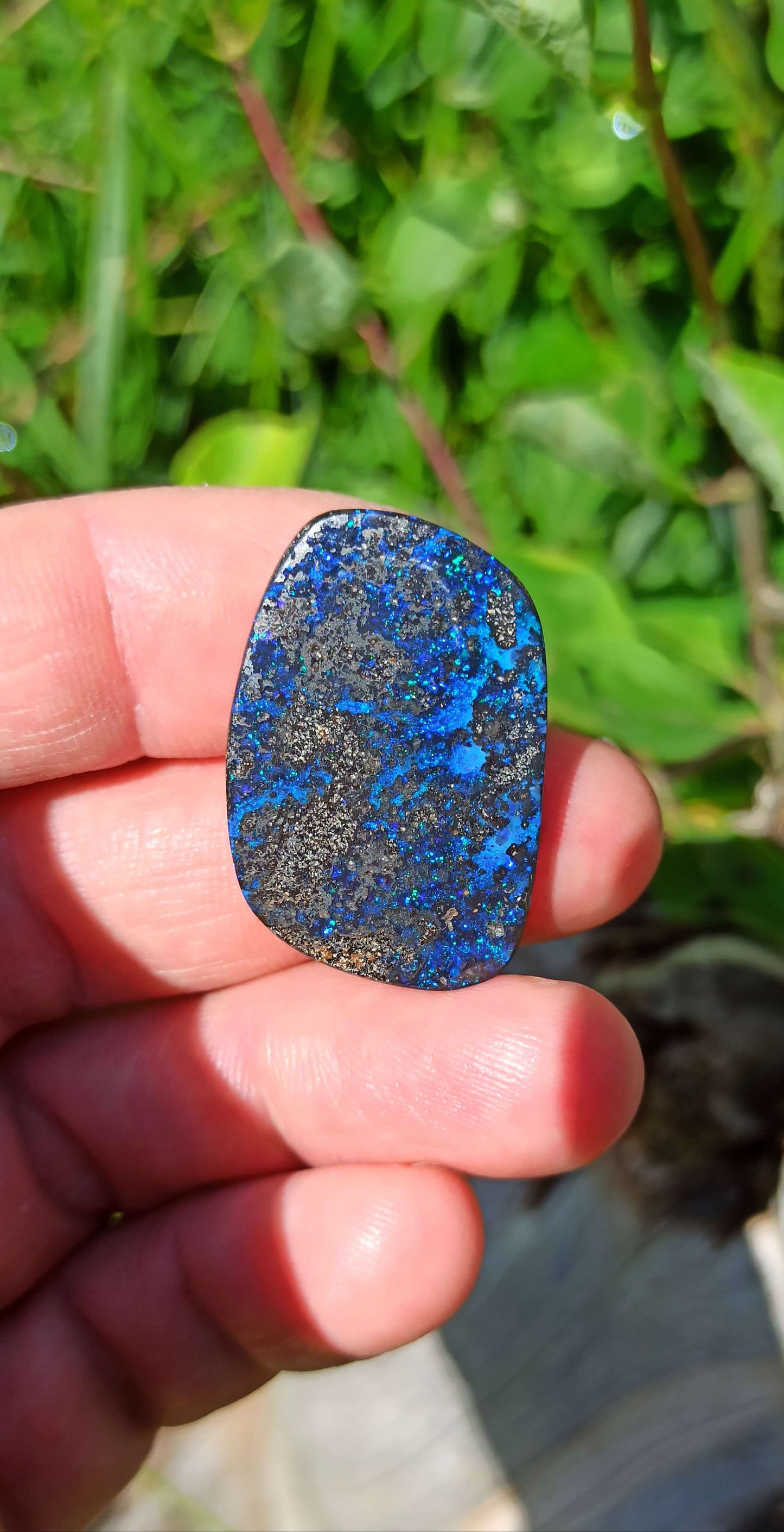 Cosmic Blue Boulder Opal ~ Winton