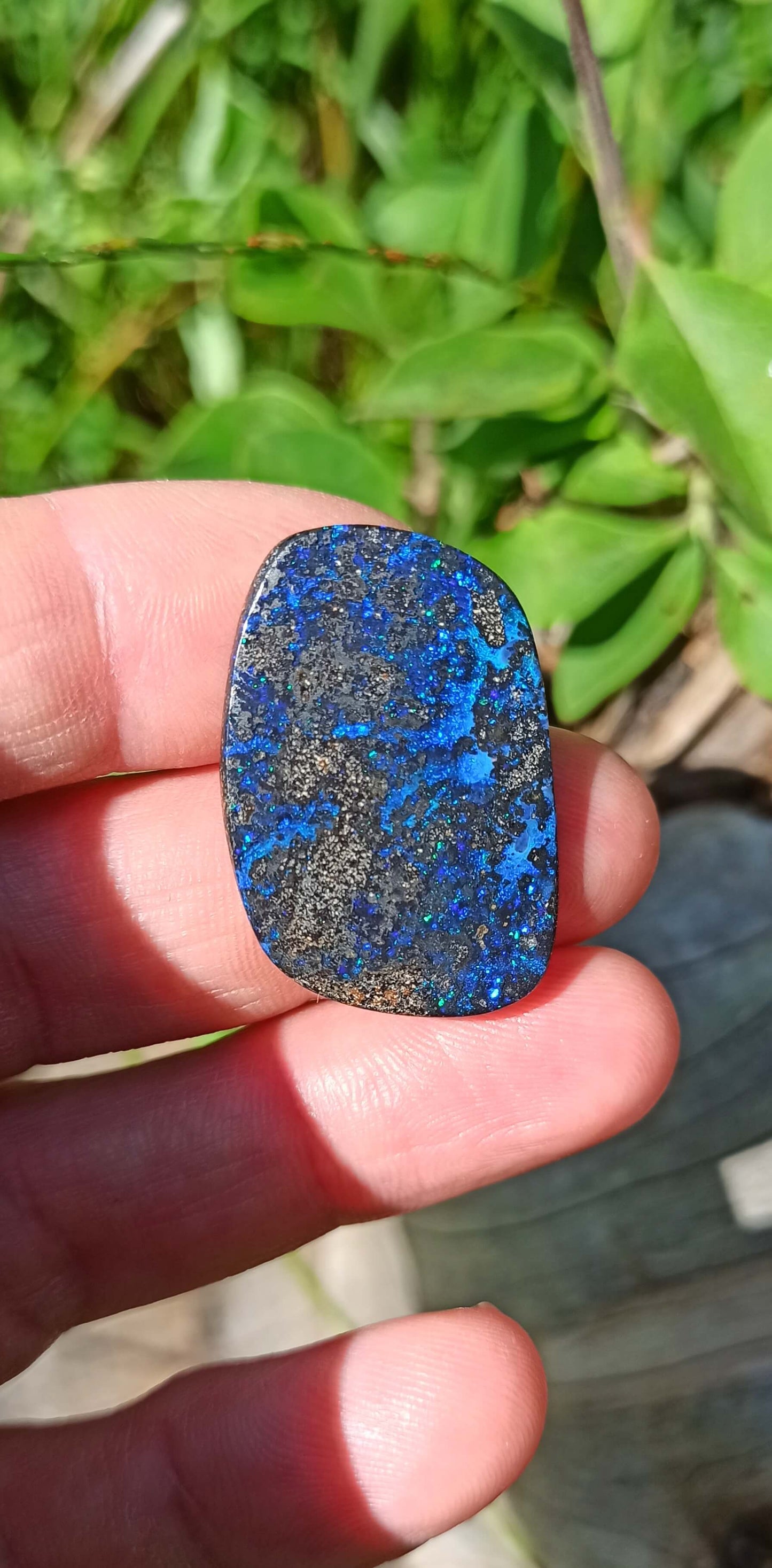 Cosmic Blue Boulder Opal ~ Winton