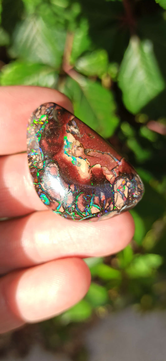 Collector Grade Yowah Nut Opal
