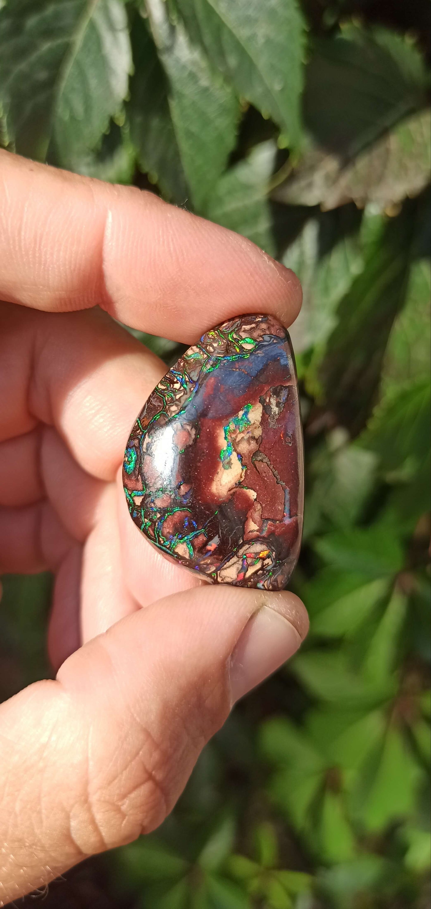Collector Grade Yowah Nut Opal