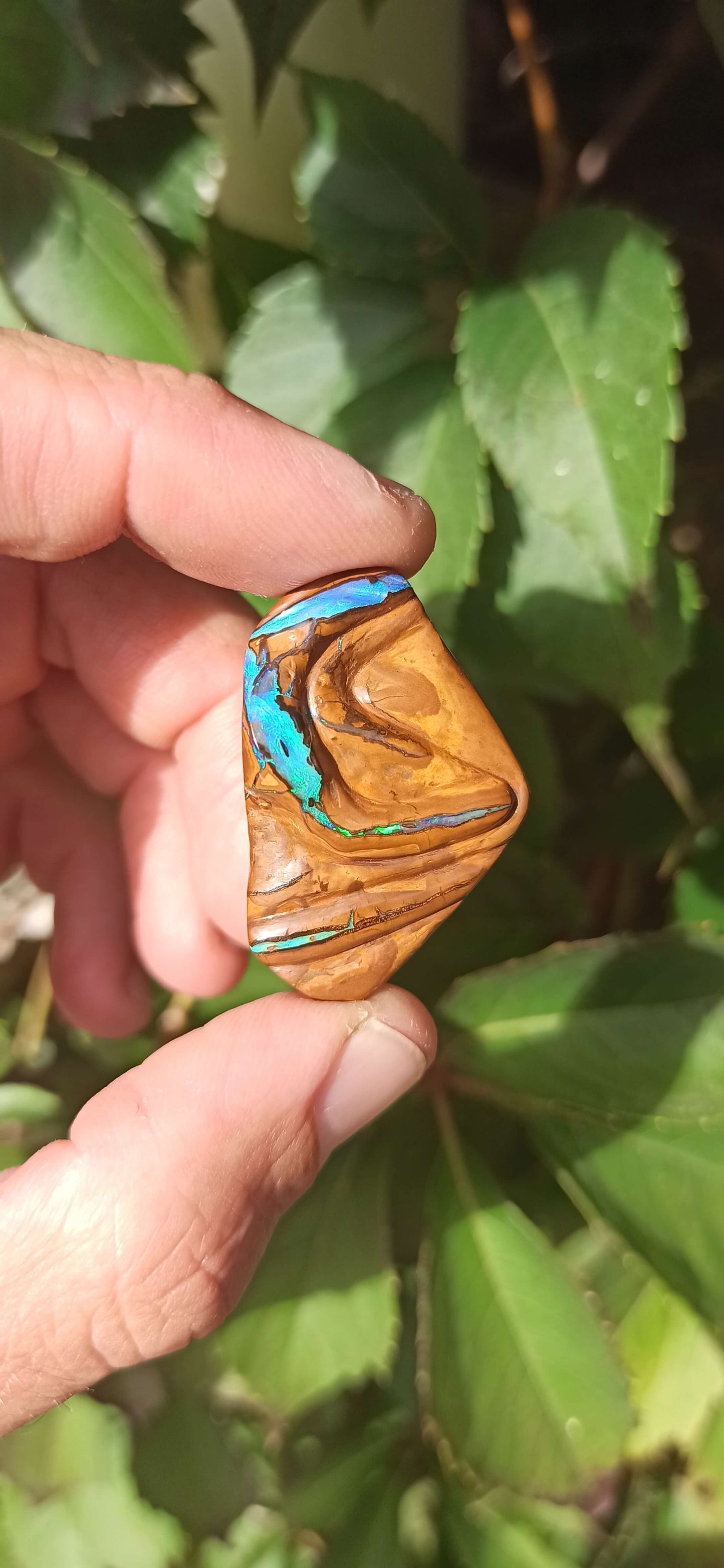 " Gardien " Unique Opale Boulder/ Yowah 🇦🇺