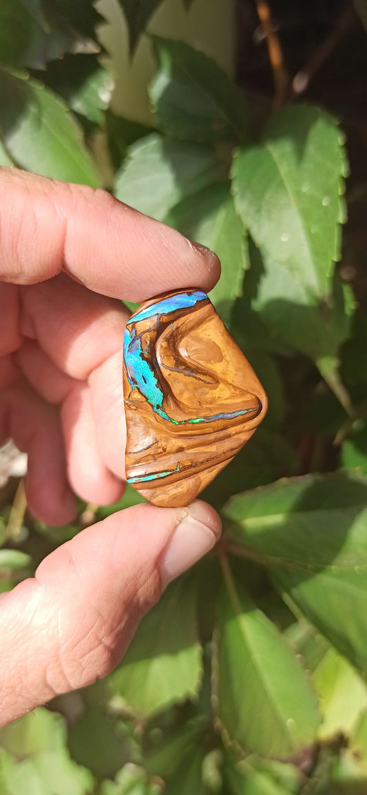 " Gardien " Unique Opale Boulder/ Yowah 🇦🇺