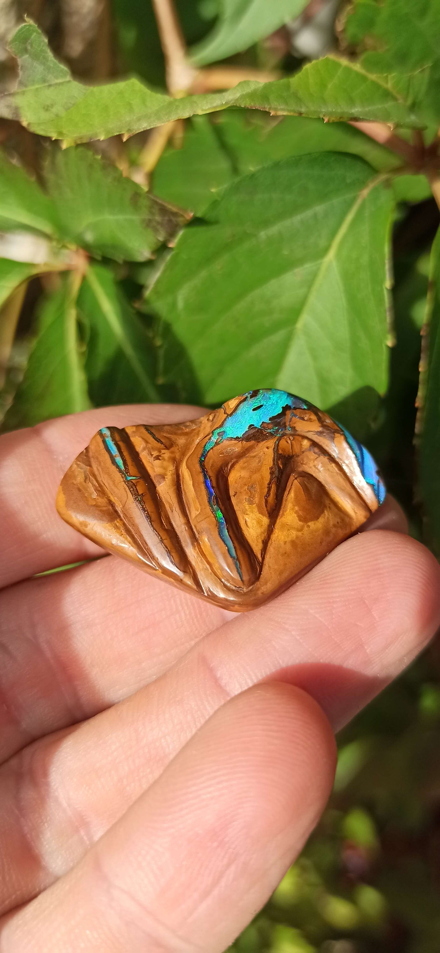 " Gardien " Unique Opale Boulder/ Yowah 🇦🇺