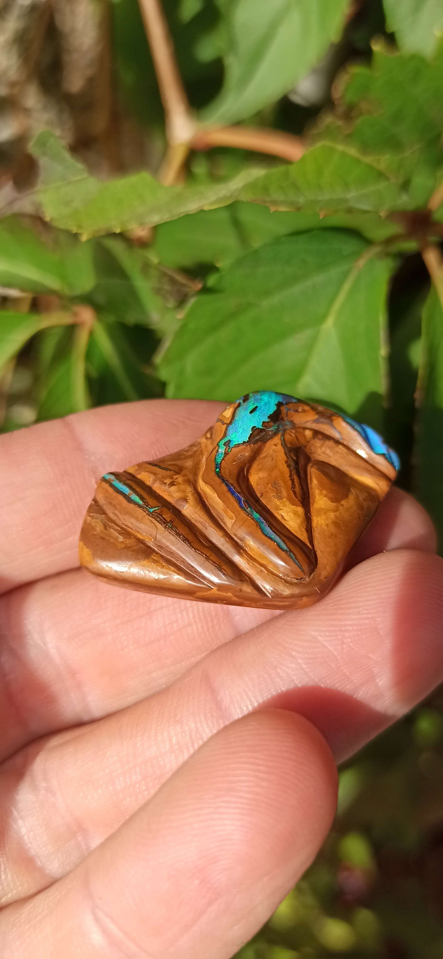 " Gardien " Unique Opale Boulder/ Yowah 🇦🇺