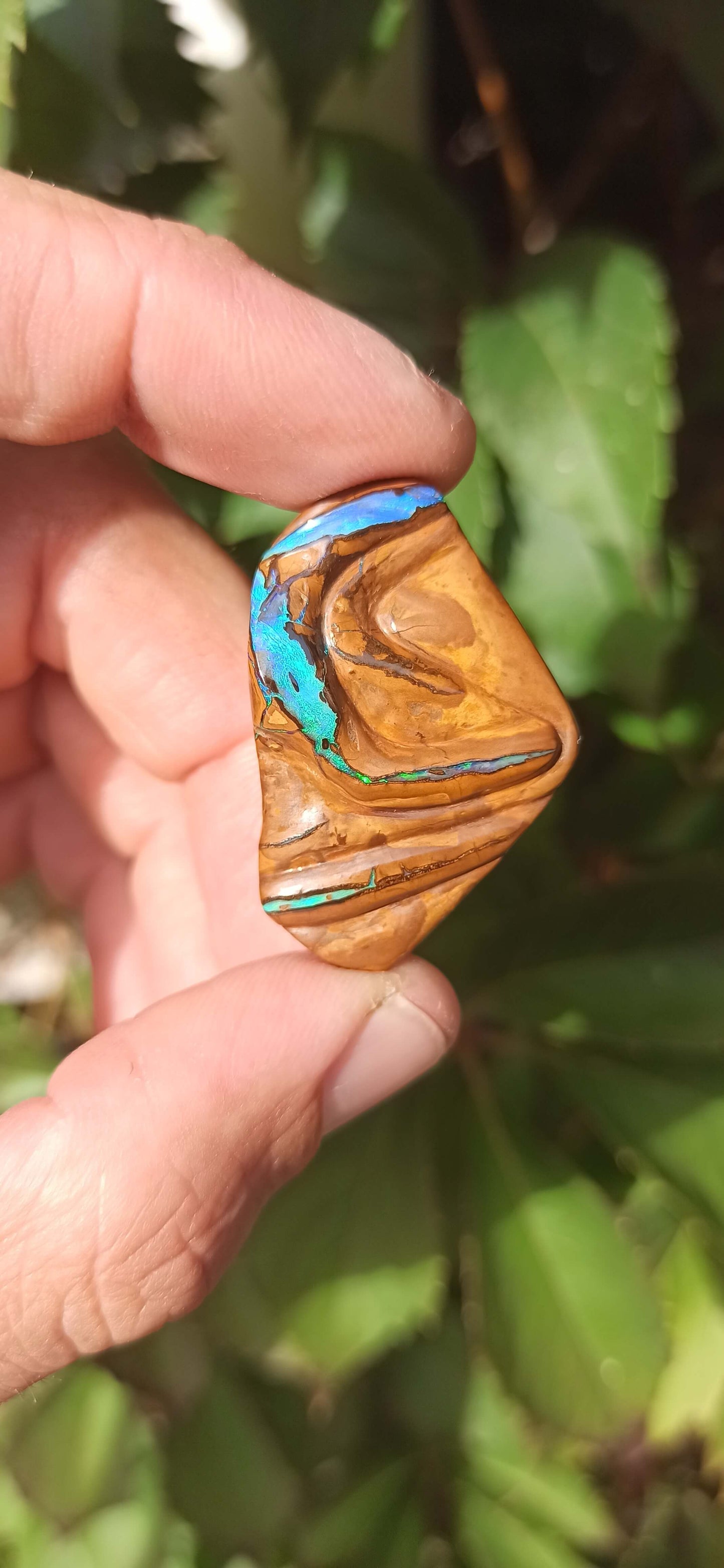 " Gardien " Unique Opale Boulder/ Yowah 🇦🇺