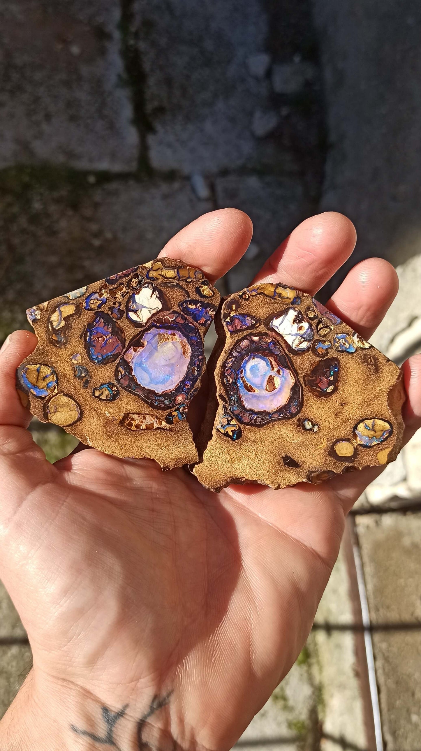 Collector Boulder Opal Split • Koroit 🇦🇺