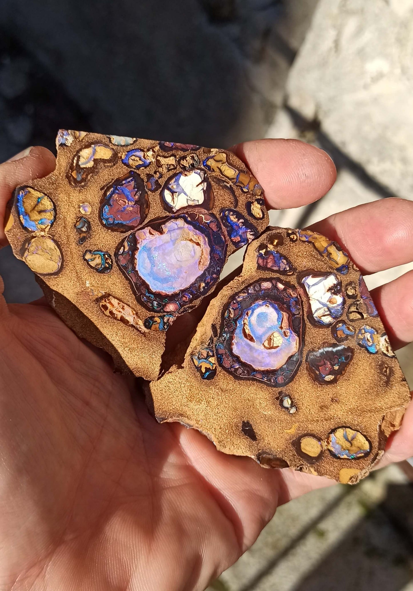 Collector Boulder Opal Split • Koroit 🇦🇺