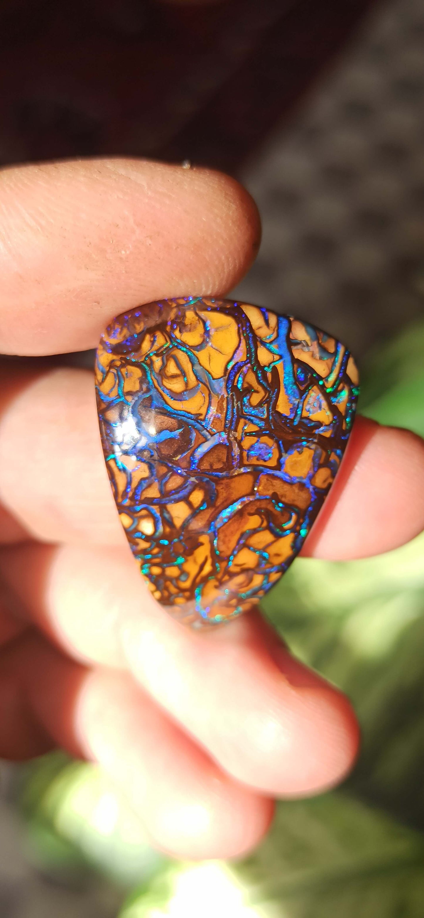 Collector Grade Yowah Nut Opal
