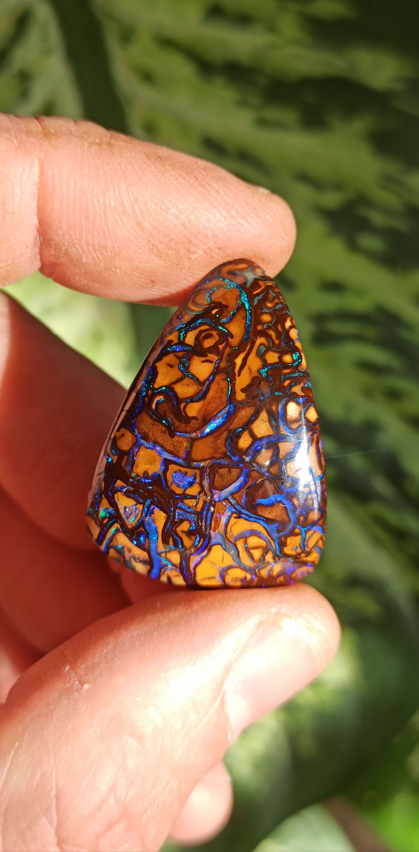 Collector Grade Yowah Nut Opal