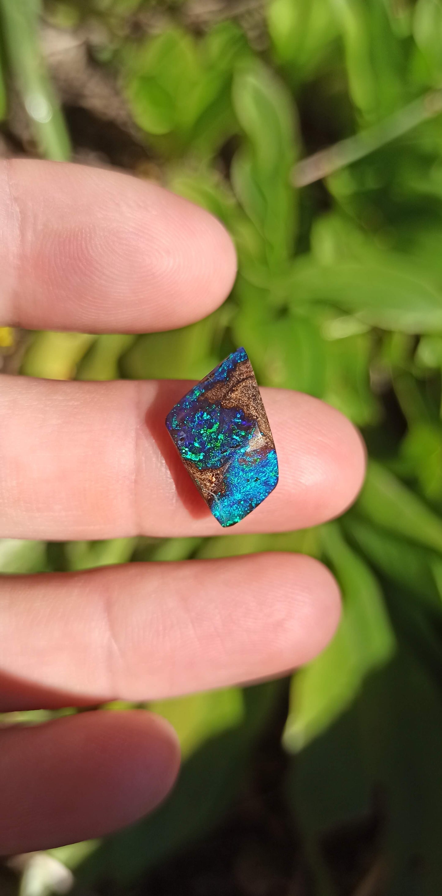 Black Boulder Opal ~ Australie