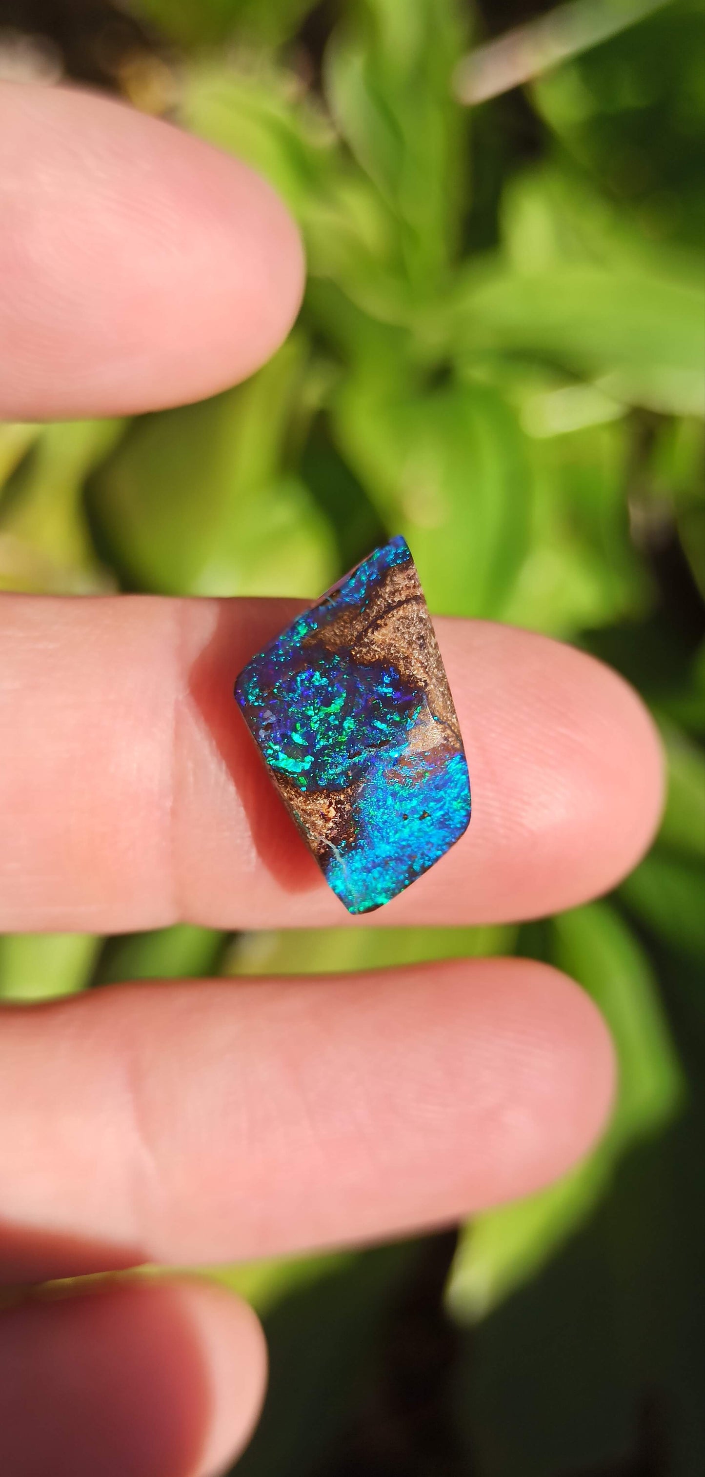 Black Boulder Opal ~ Australie