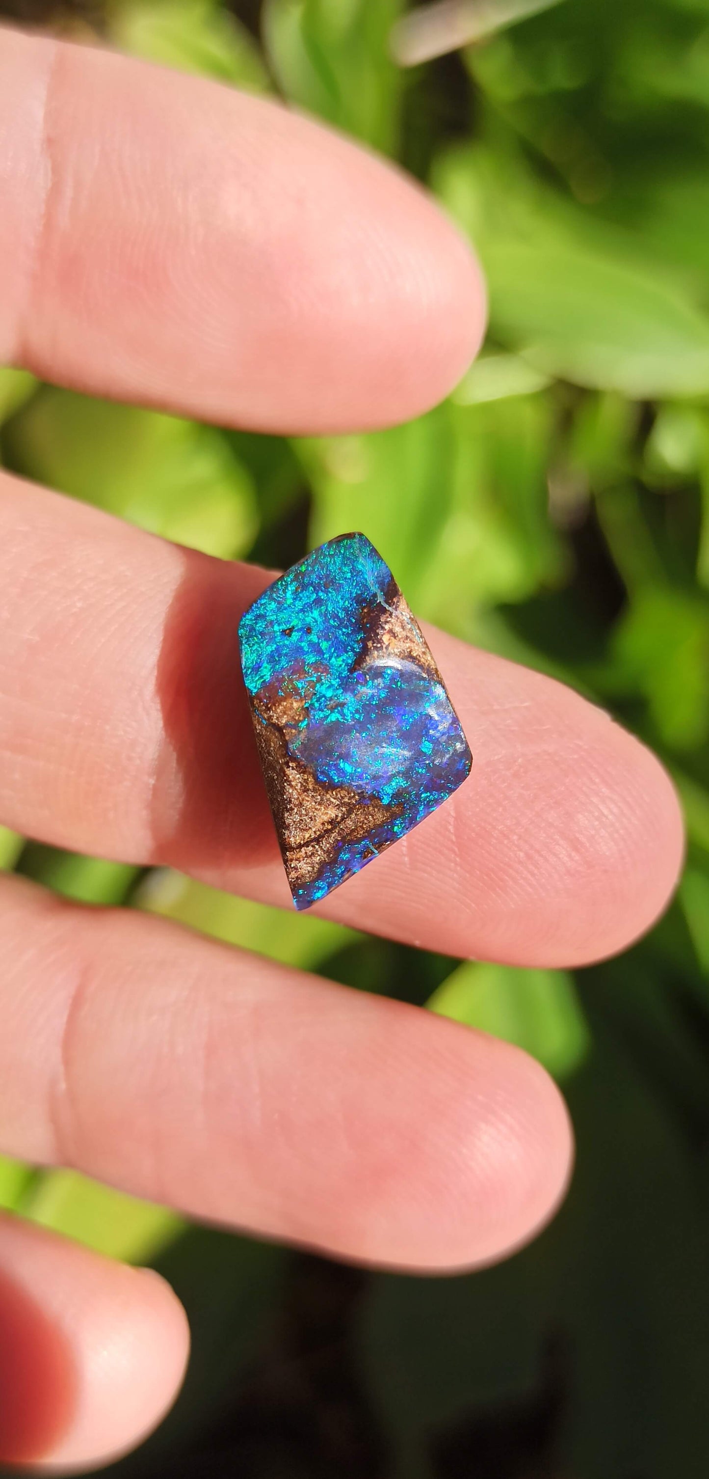 Black Boulder Opal ~ Australie