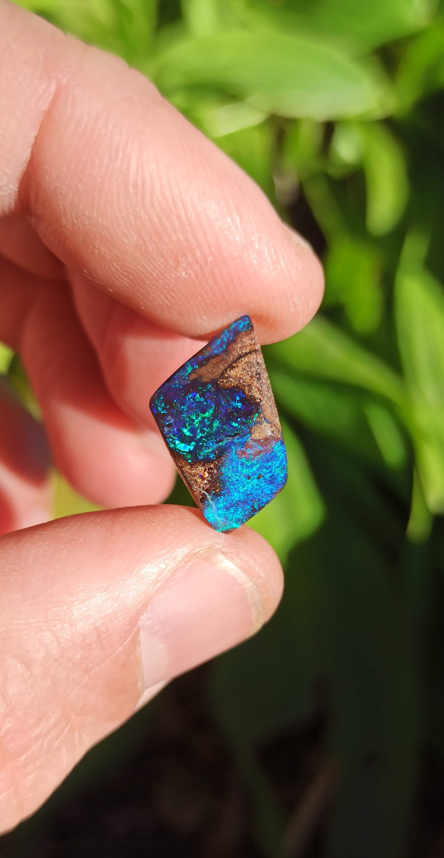 Black Boulder Opal ~ Australie