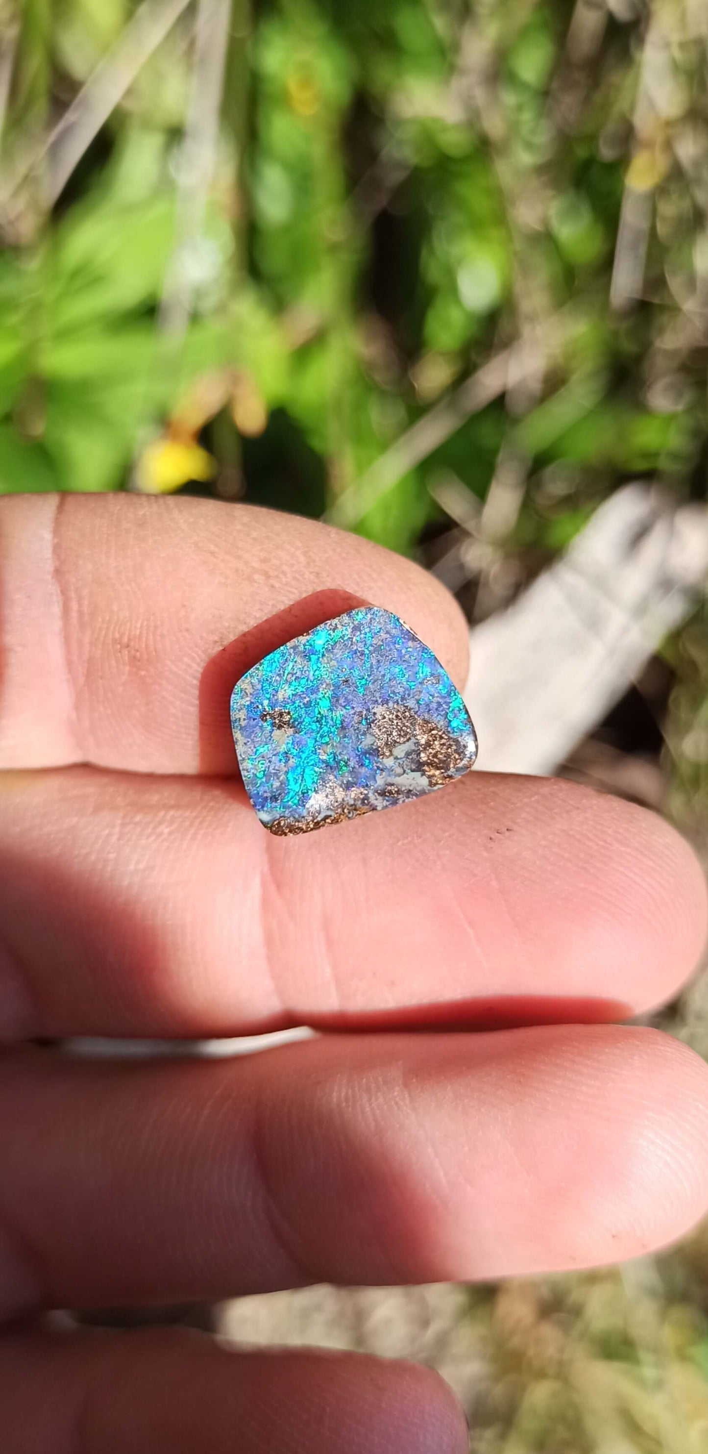 Opale Boulder Bleu Tropical ~ Winton