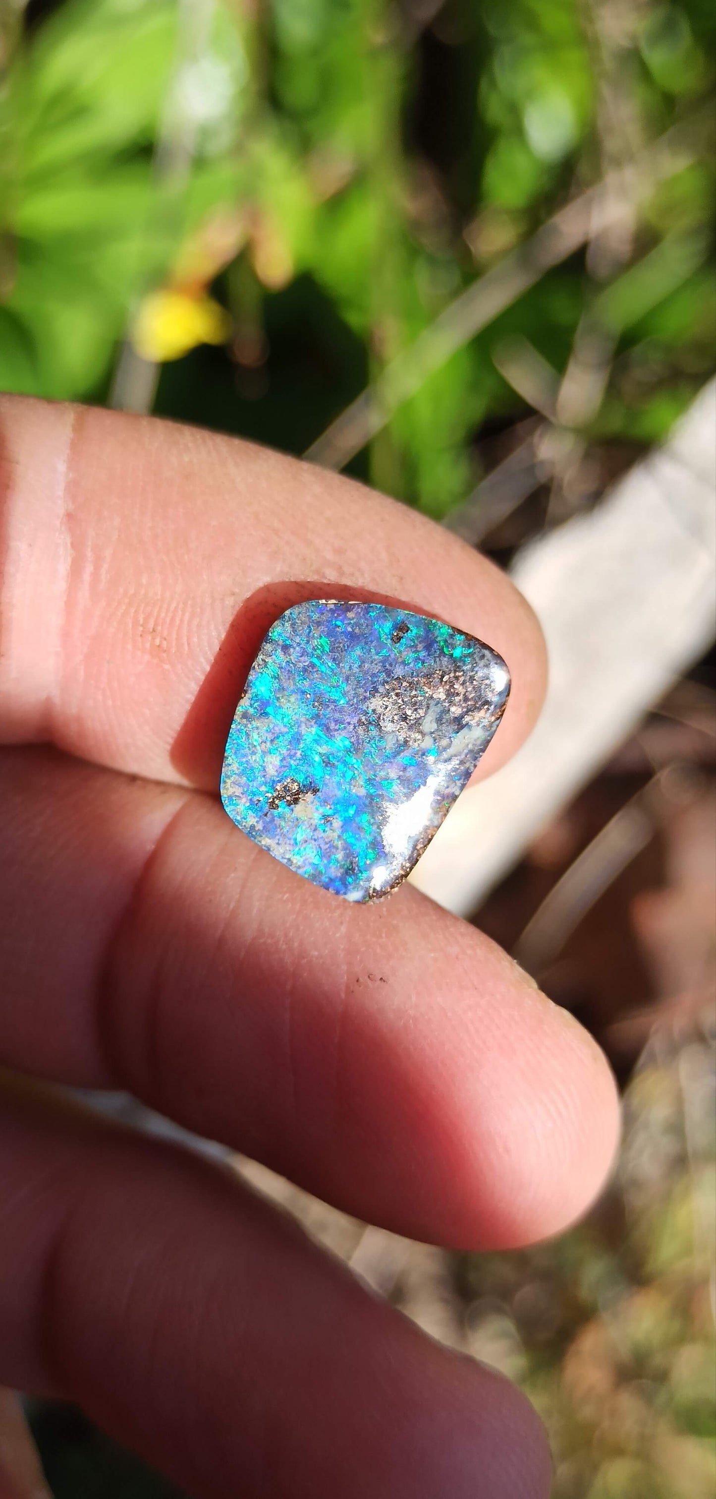 Opale Boulder Bleu Tropical ~ Winton