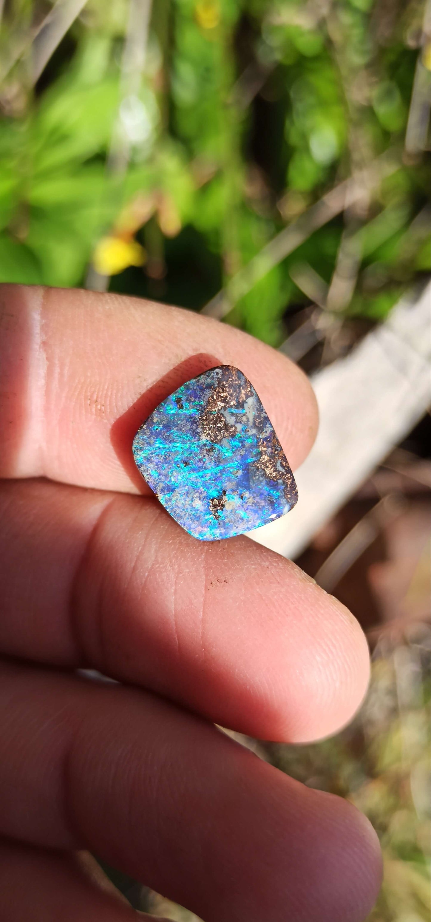 Opale Boulder Bleu Tropical ~ Winton