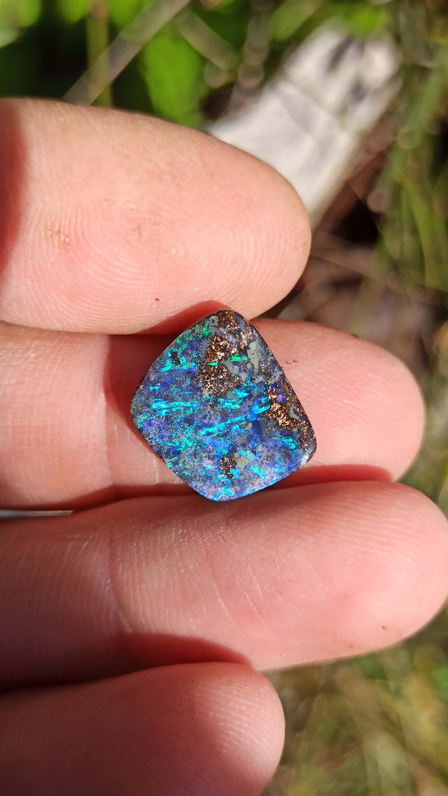 Opale Boulder Bleu Tropical ~ Winton