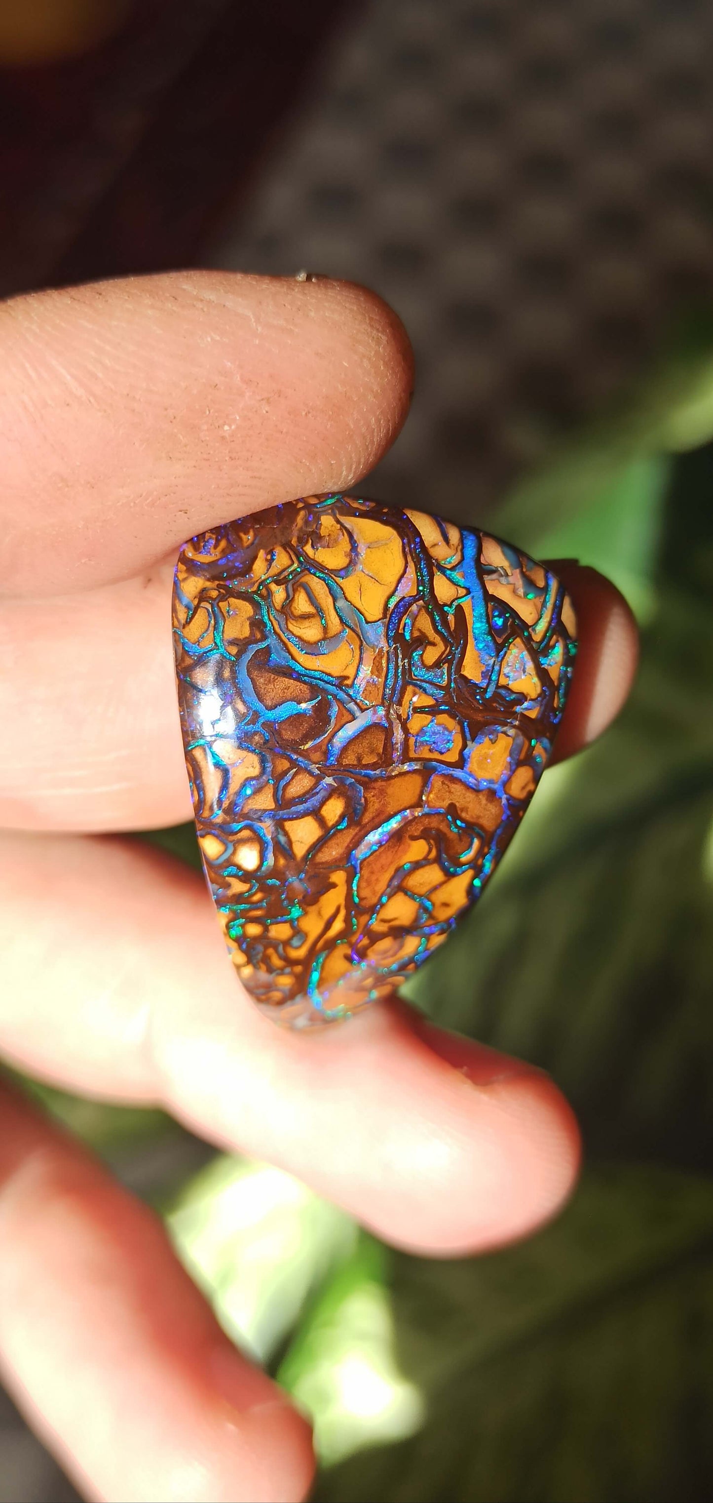 Collector Grade Yowah Nut Opal
