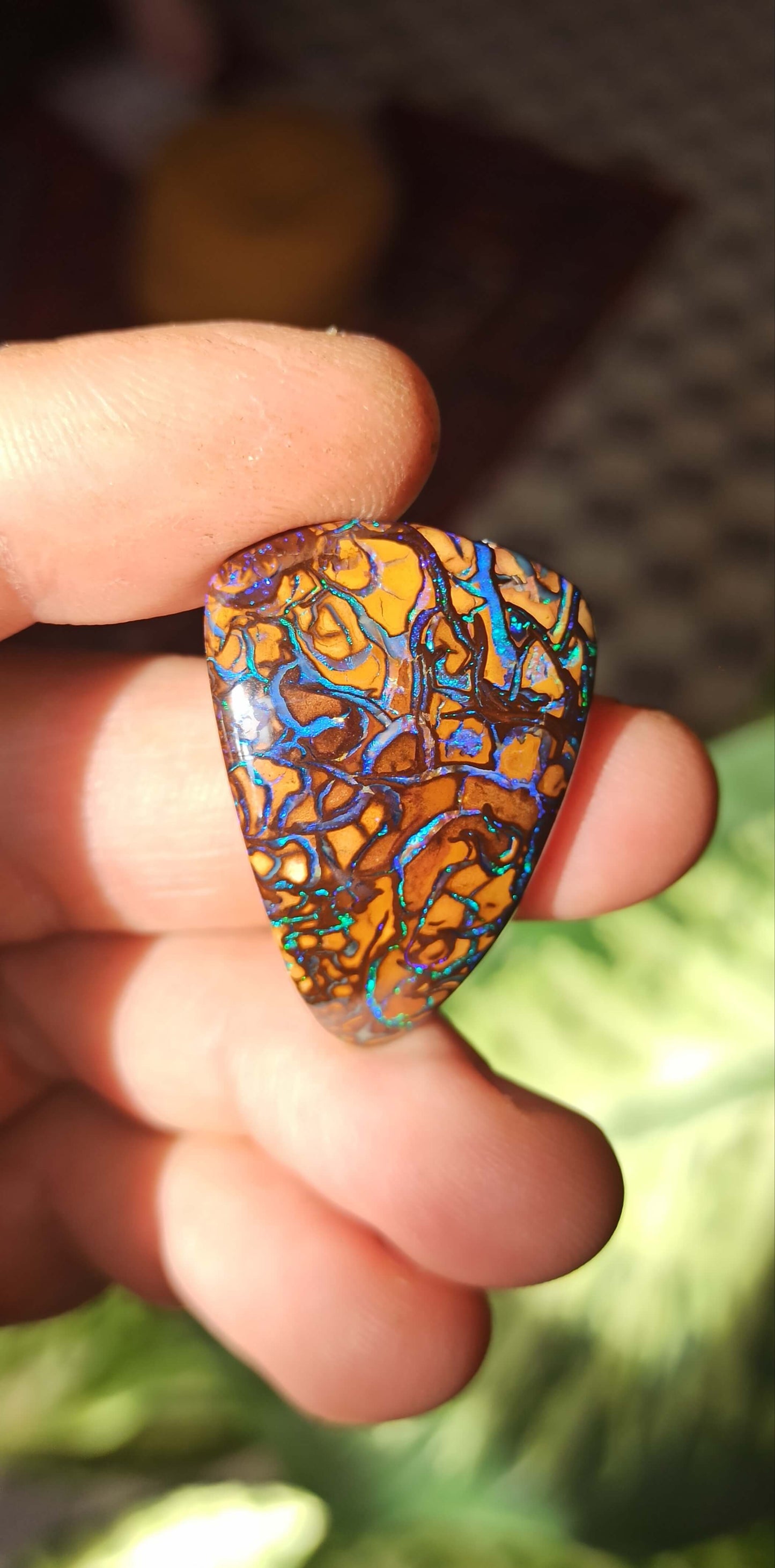 Collector Grade Yowah Nut Opal