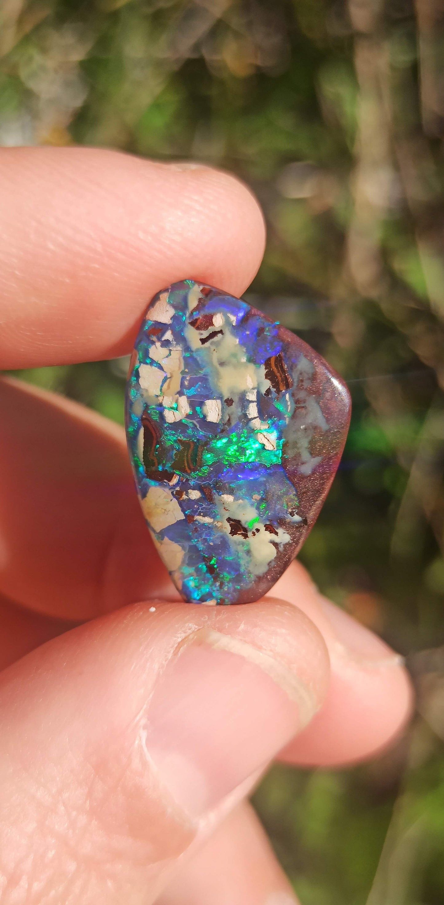 Opale Boulder Yowah ~ Australie