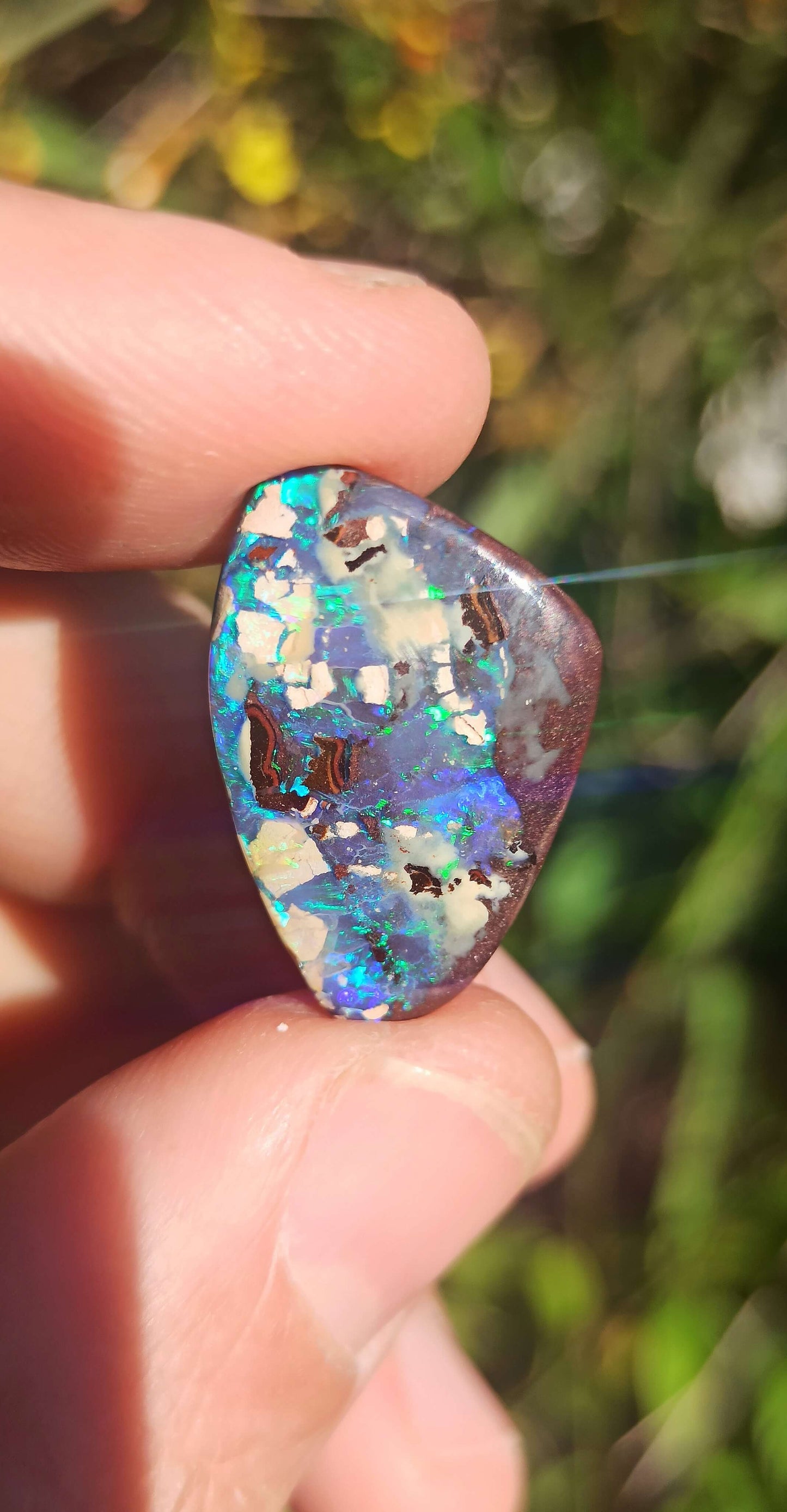 Opale Boulder Yowah ~ Australie