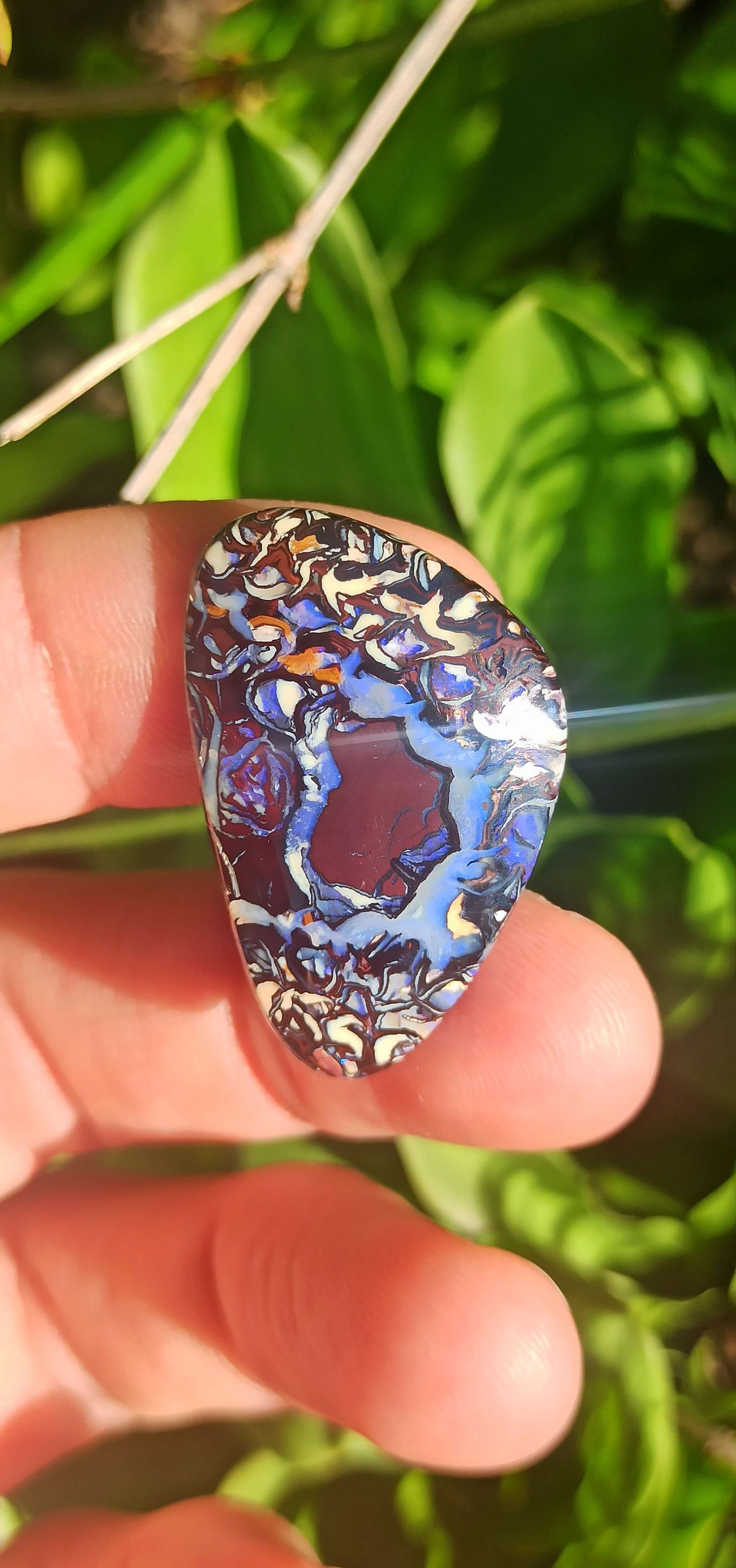 Crazy Pattern Yowah Nut Opal Pair