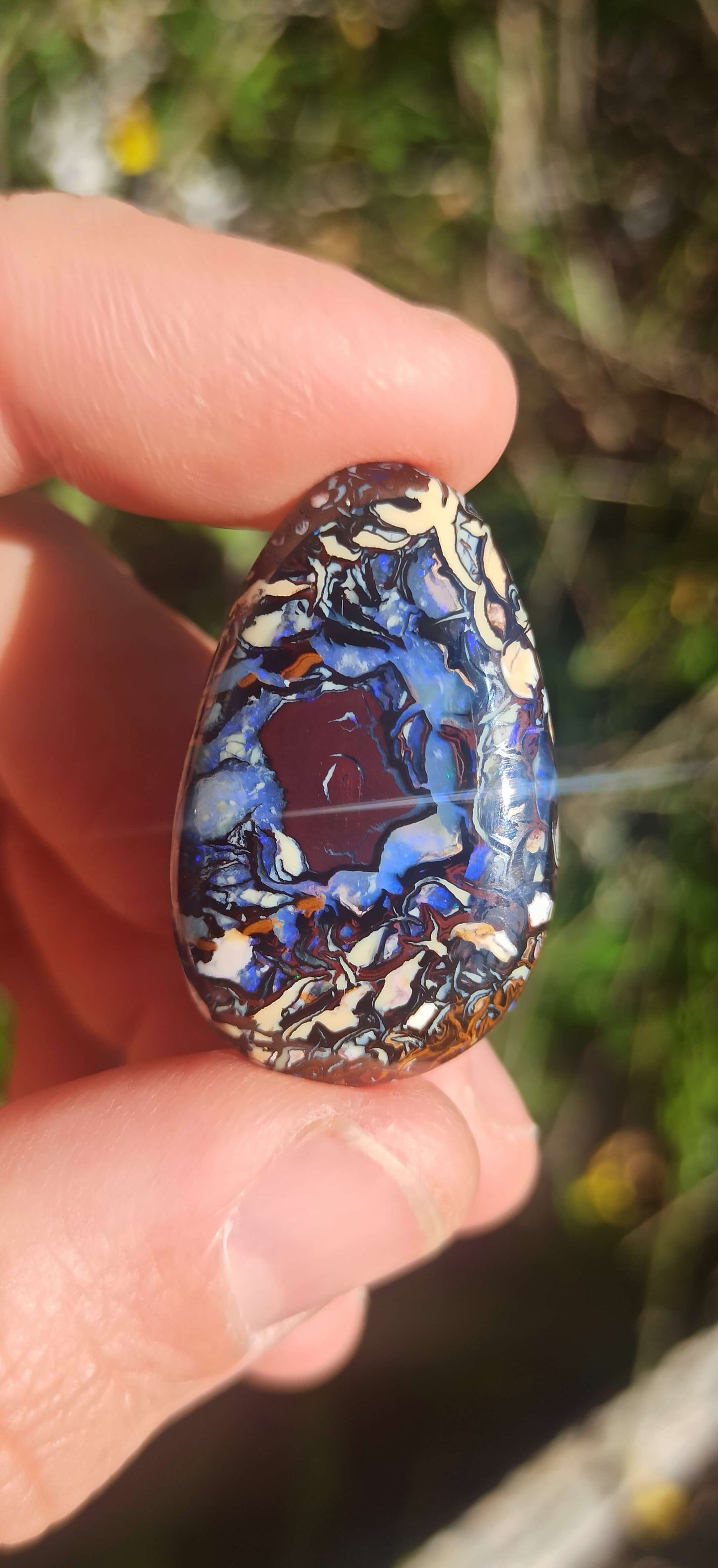 Crazy Pattern Yowah Nut Opal Pair