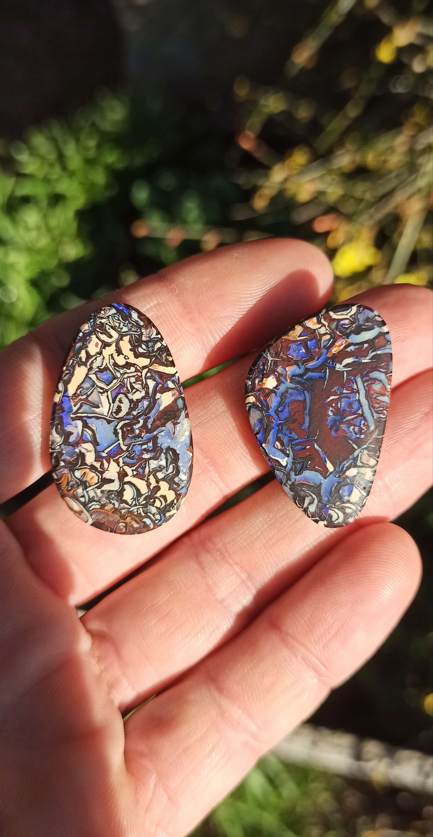 Crazy Pattern Yowah Nut Opal Pair