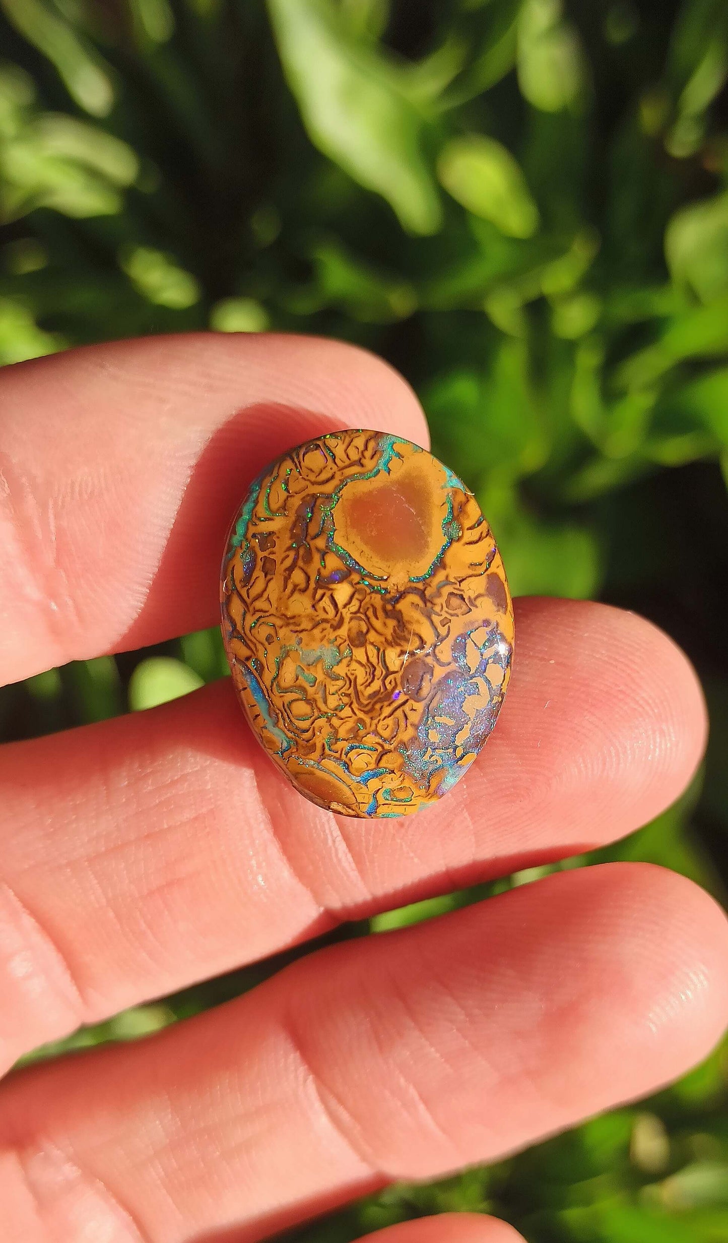 Opale Boulder Yowah