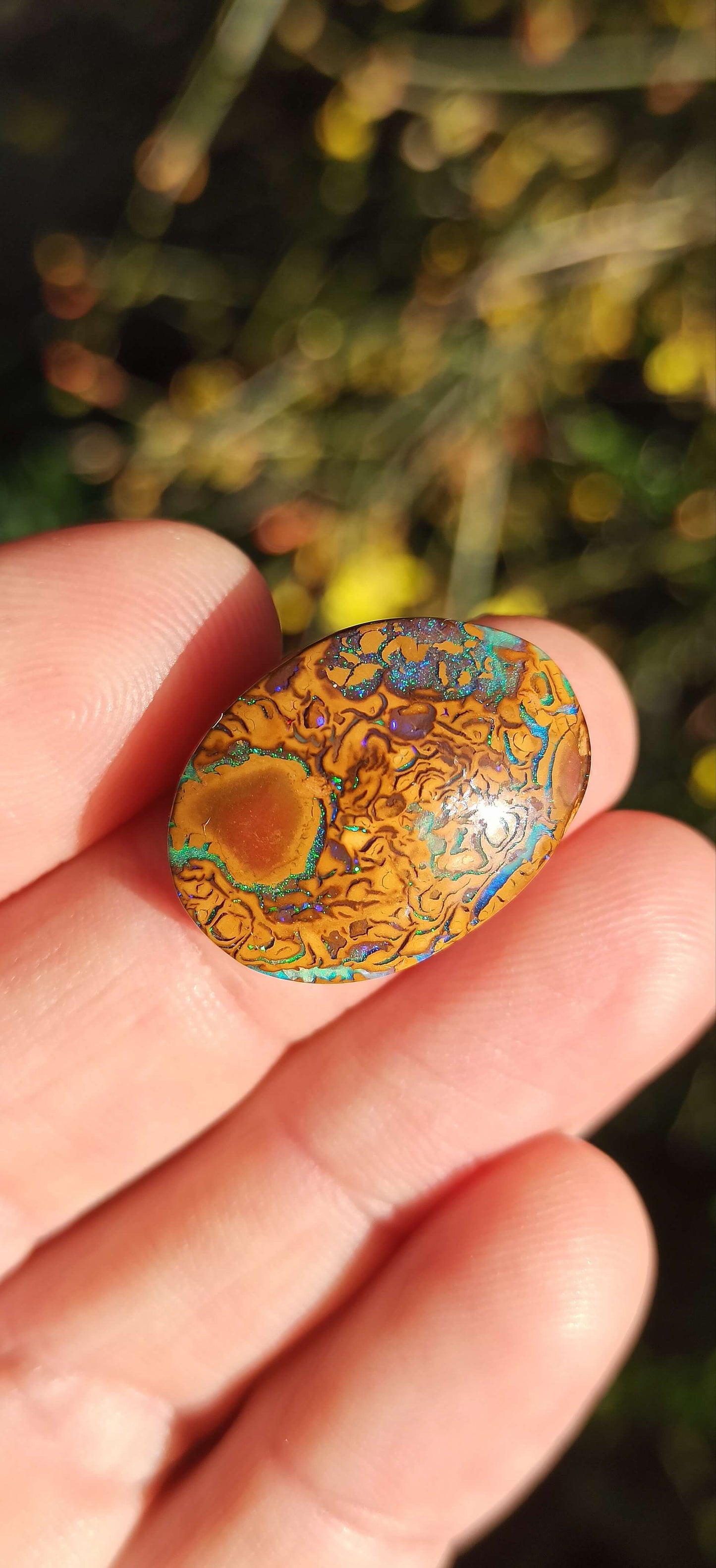 Opale Boulder Yowah