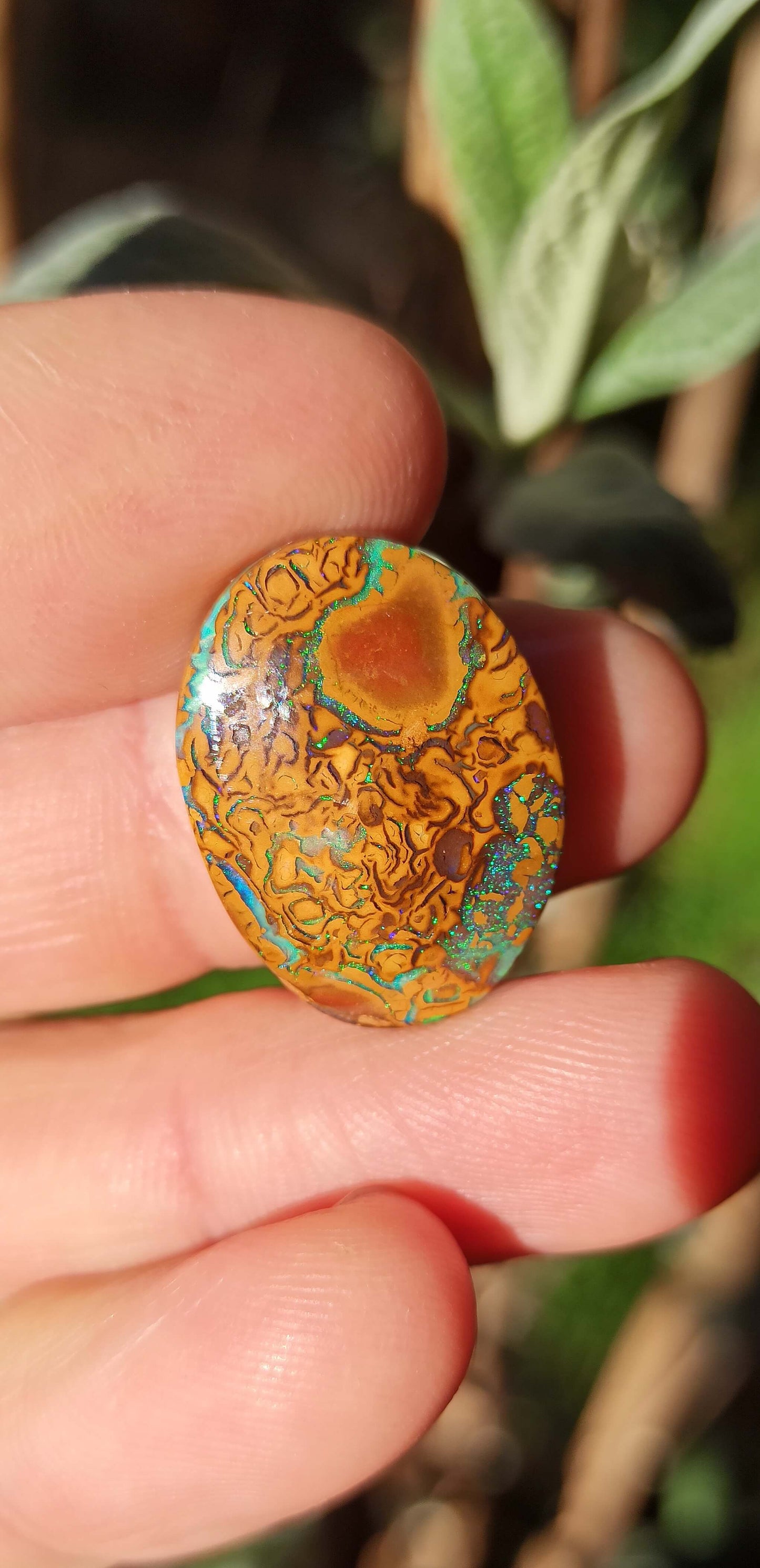 Opale Boulder Yowah