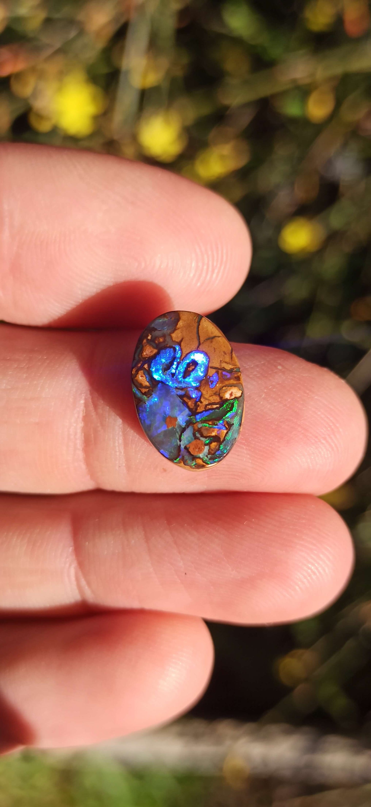 Unique Opale Boulder de Yowah