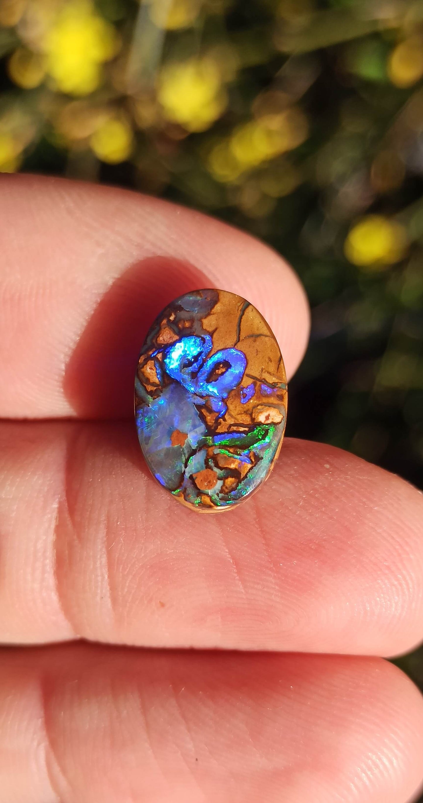 Unique Opale Boulder de Yowah