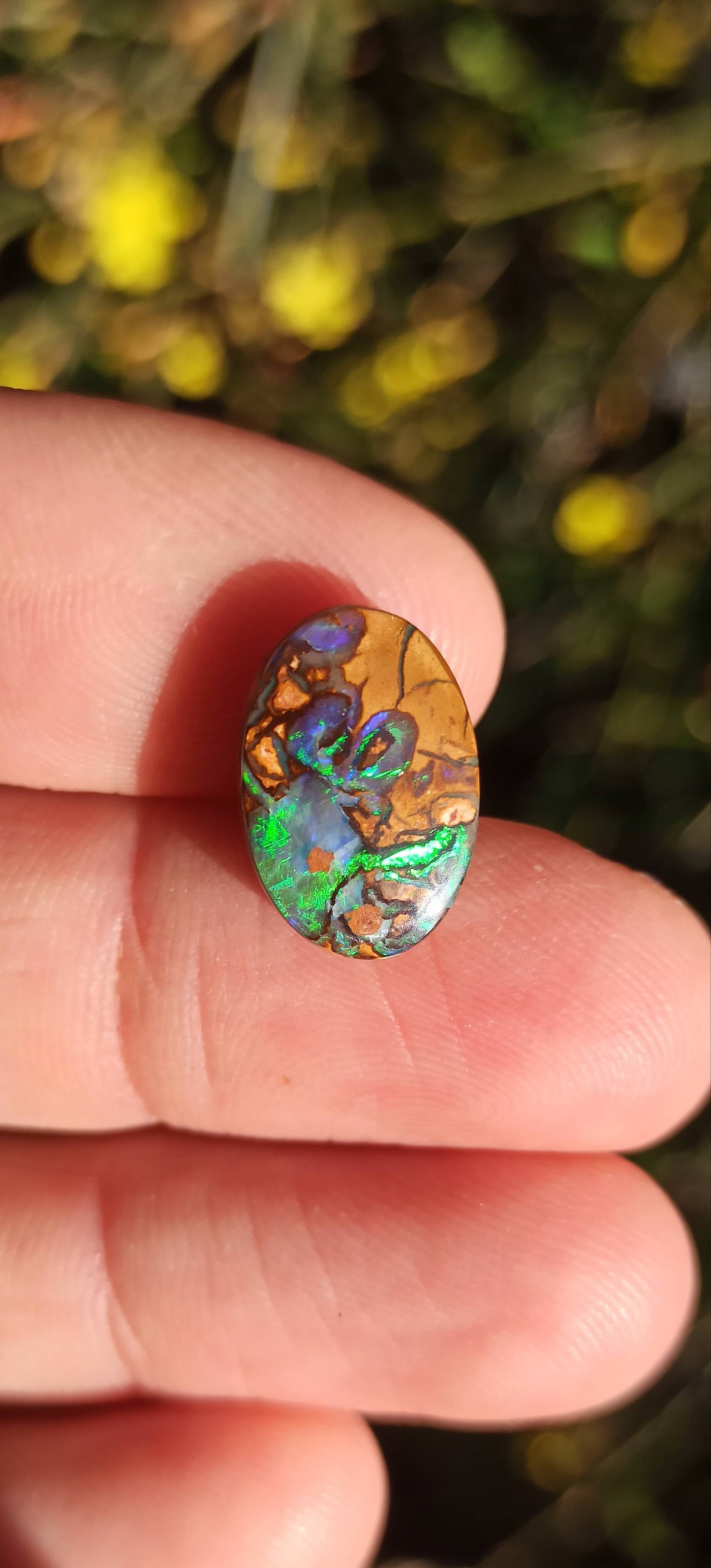 Unique Opale Boulder de Yowah