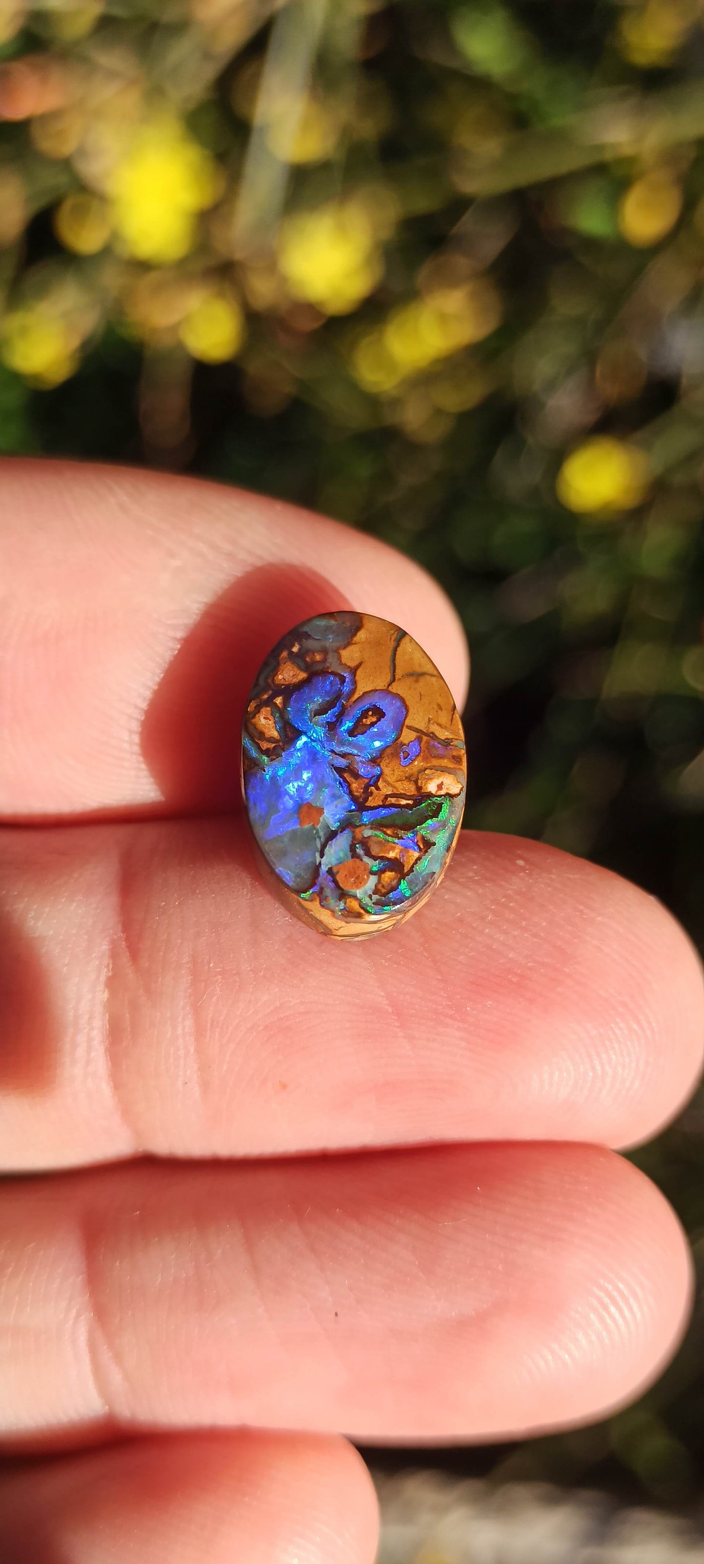 Unique Opale Boulder de Yowah