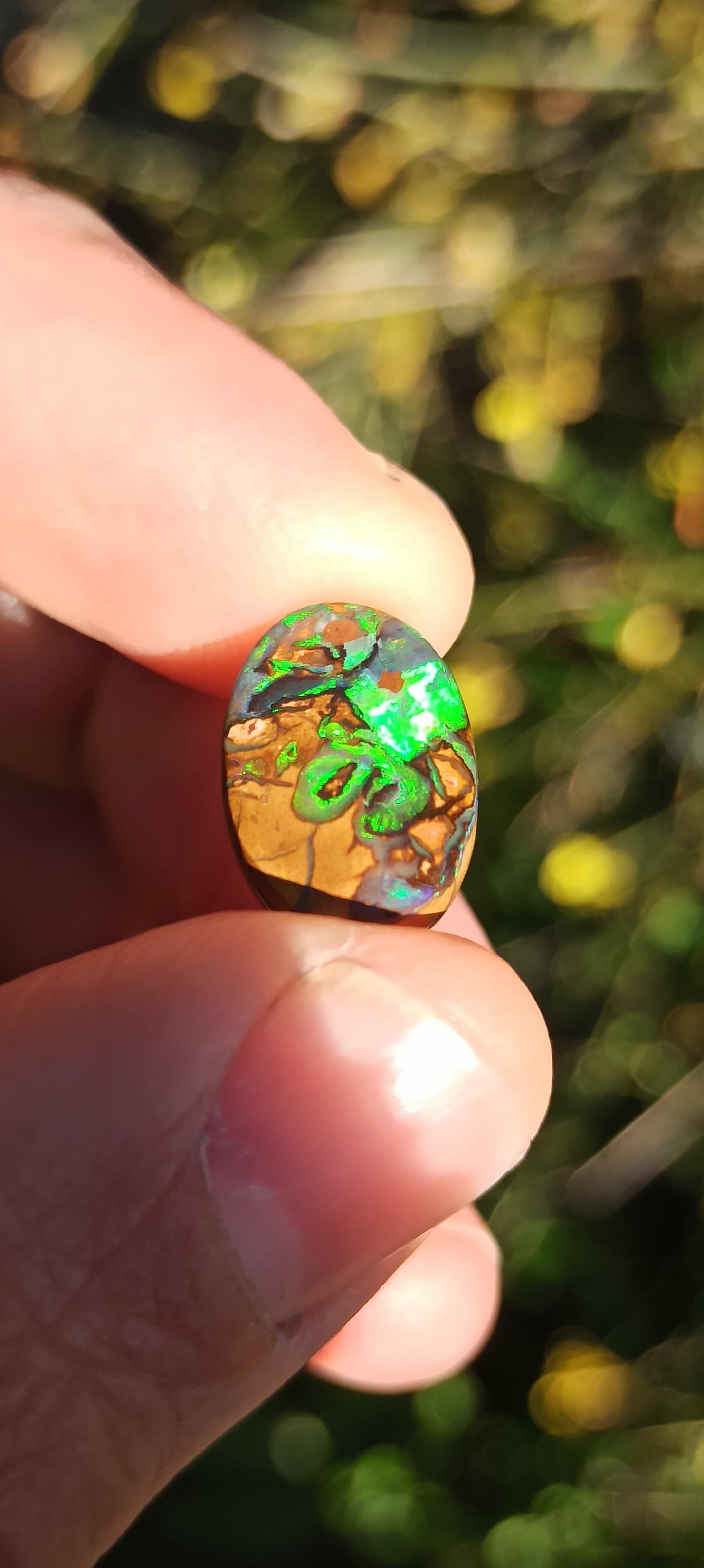 Unique Opale Boulder de Yowah