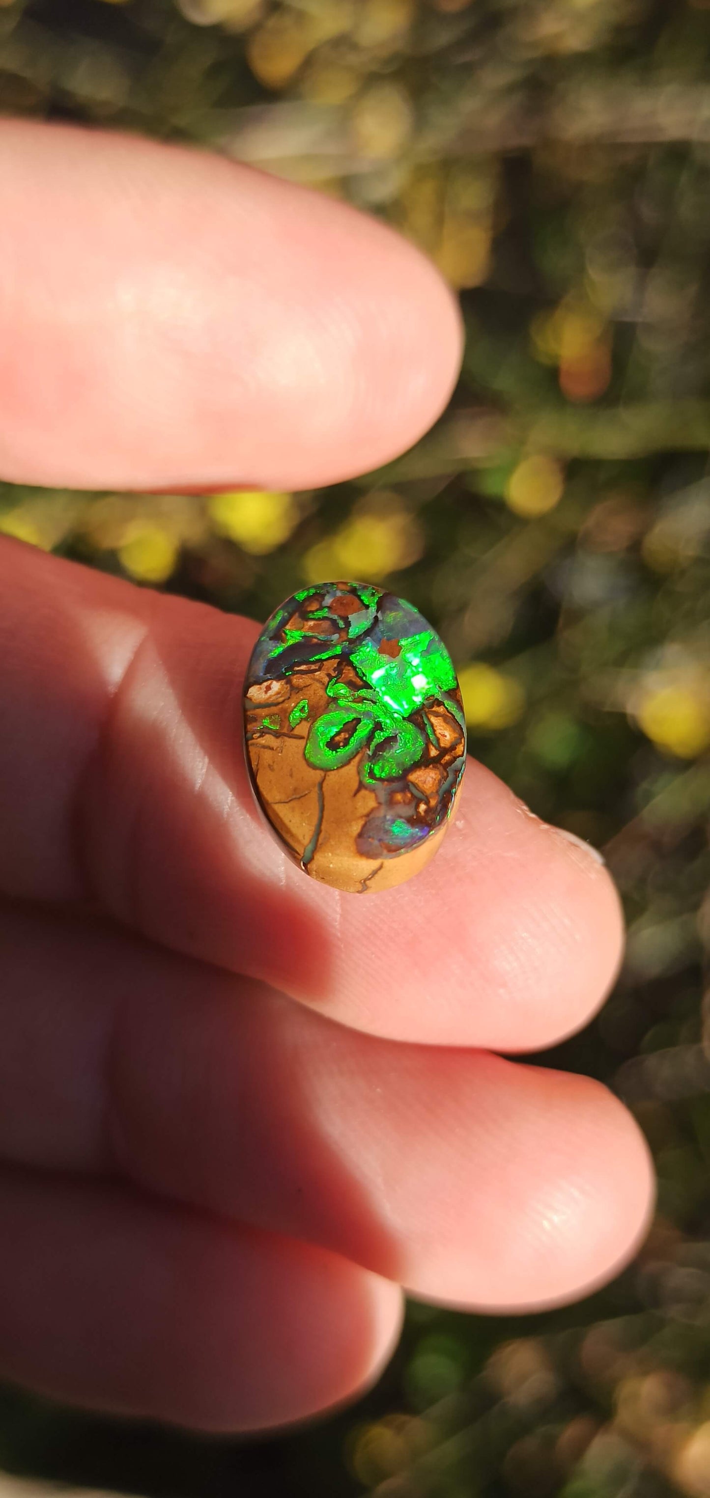 Unique Opale Boulder de Yowah